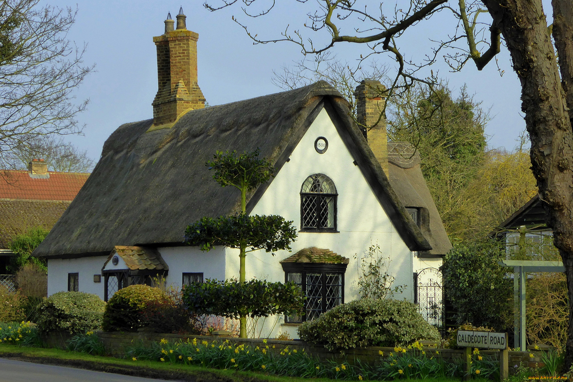 англия, города, -, здания, , дома, деревья, цветы, кустарники