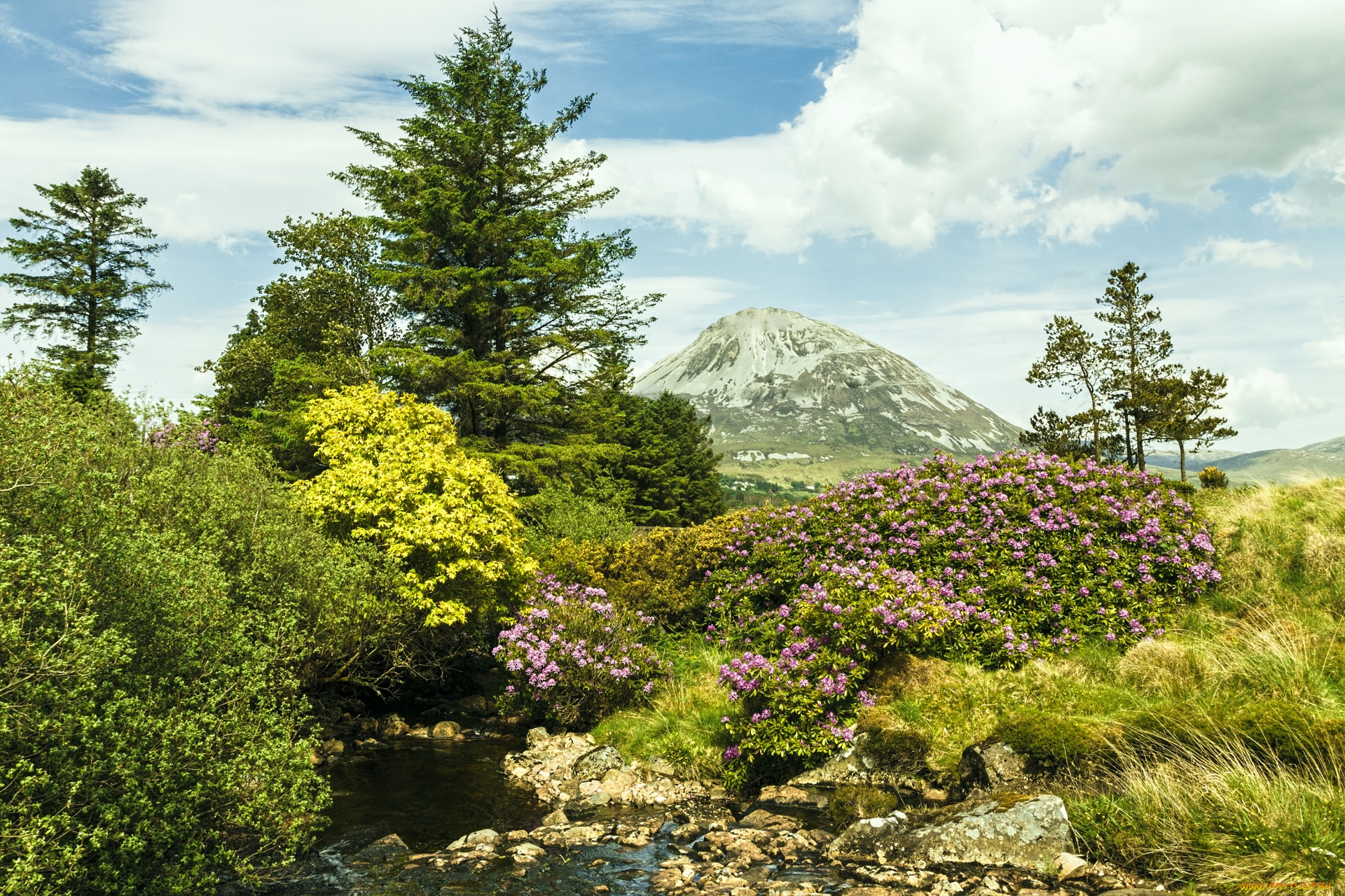 природа, пейзажи, цветы, деревья, водоем, гора, облака