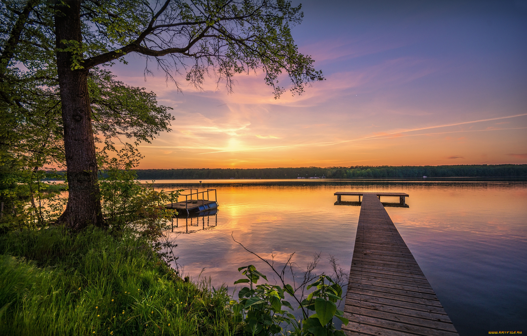 природа, реки, озера, лес, река