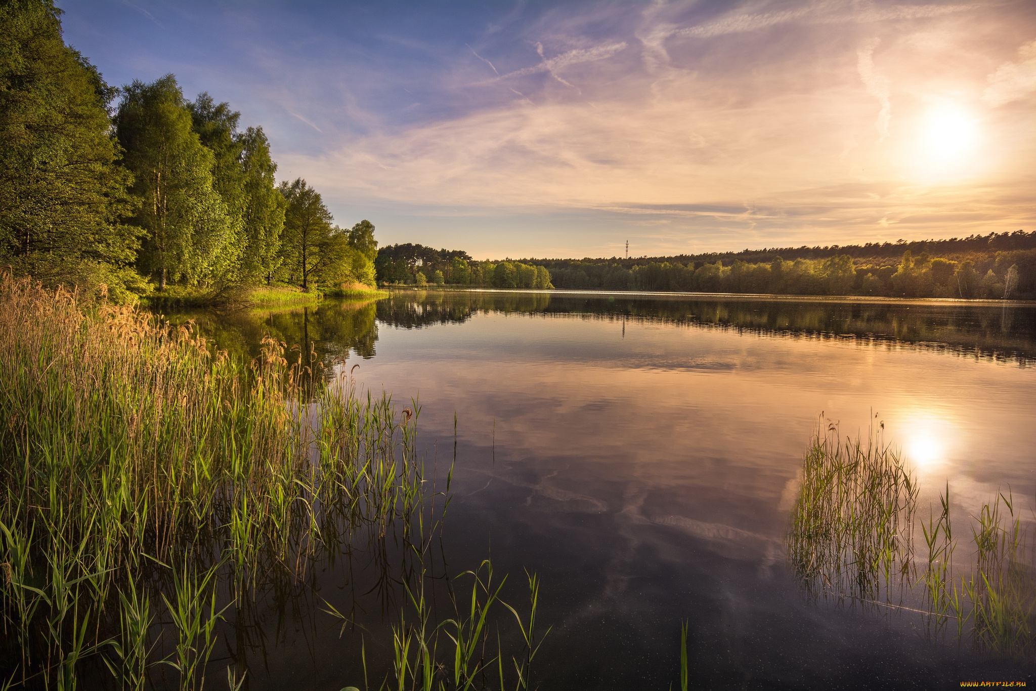 природа, реки, озера, лес, река