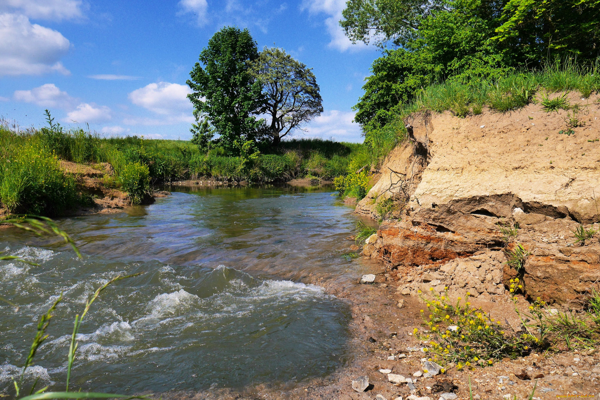 природа, реки, озера, лес, река