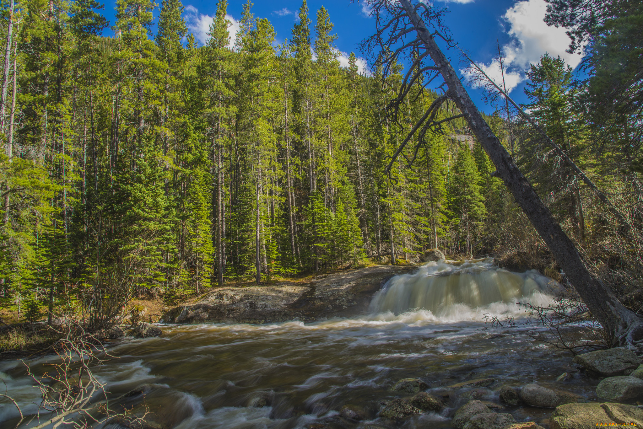 природа, реки, озера, лес, река