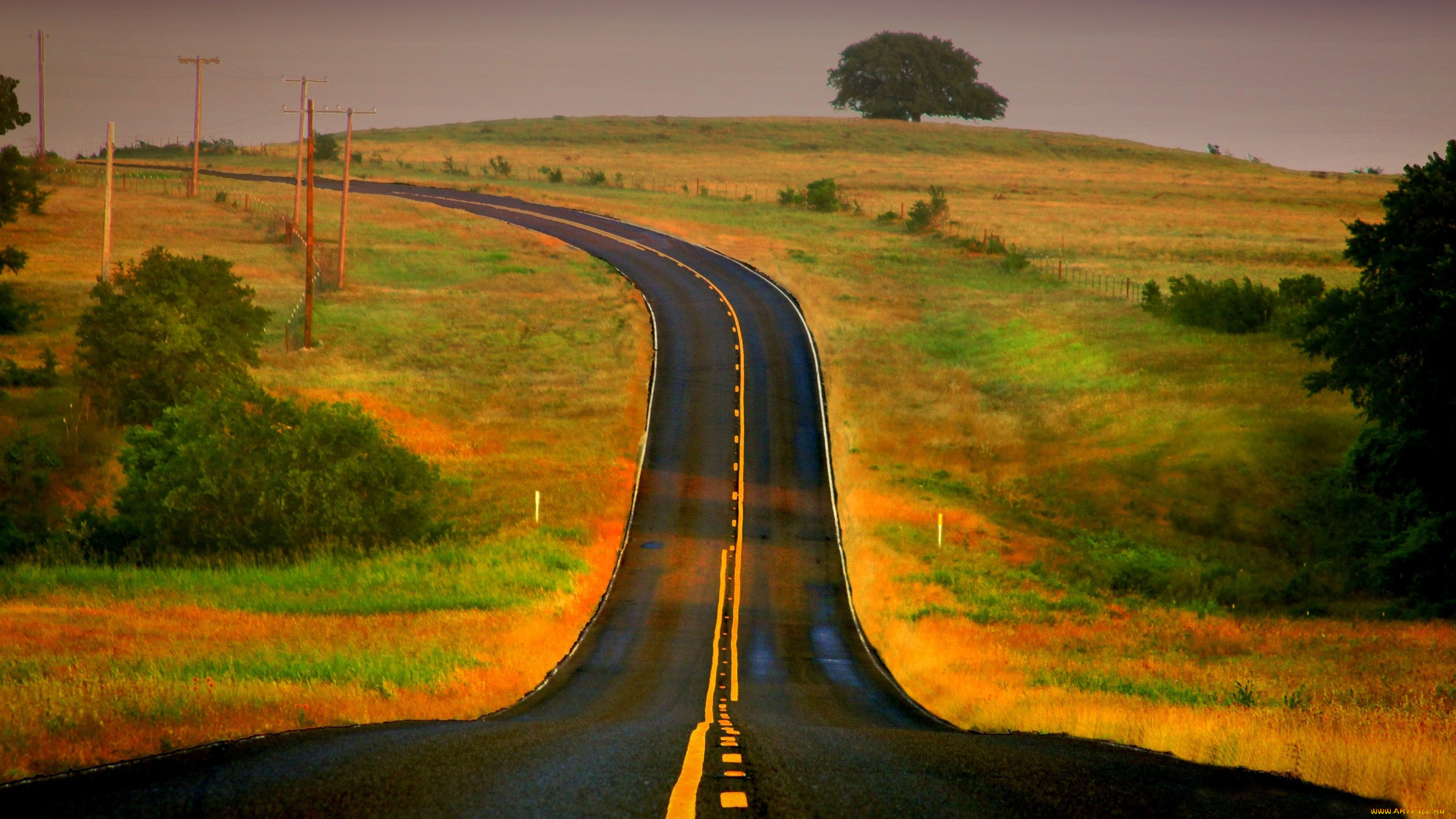 природа, дороги, шоссе