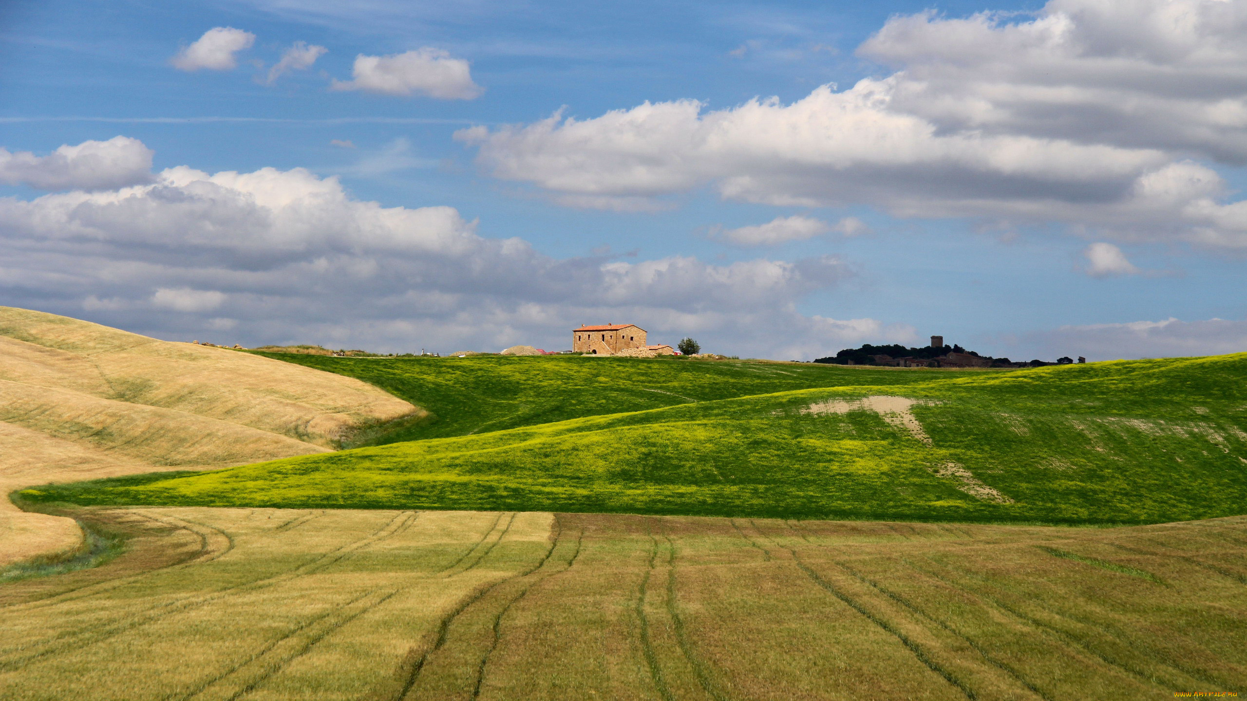 природа, поля, лето, облака