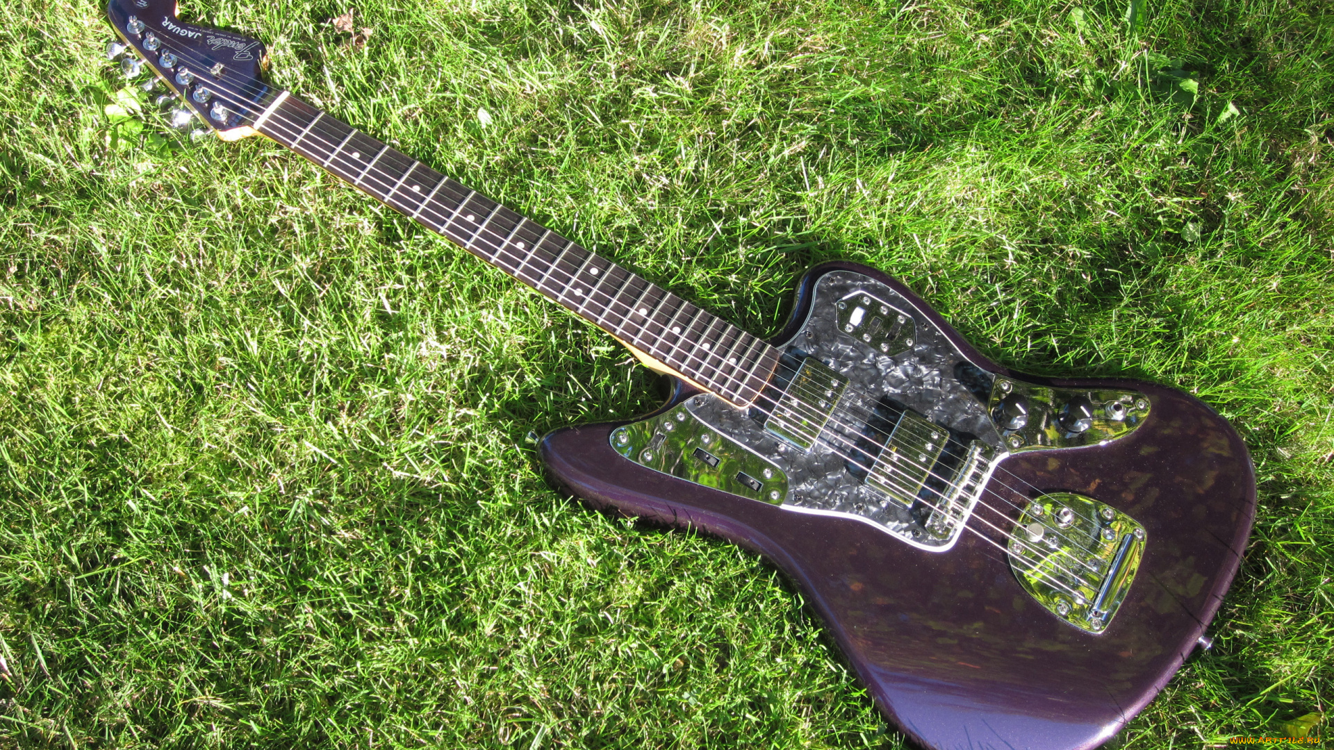 музыка, -музыкальные, инструменты, трава, гитара