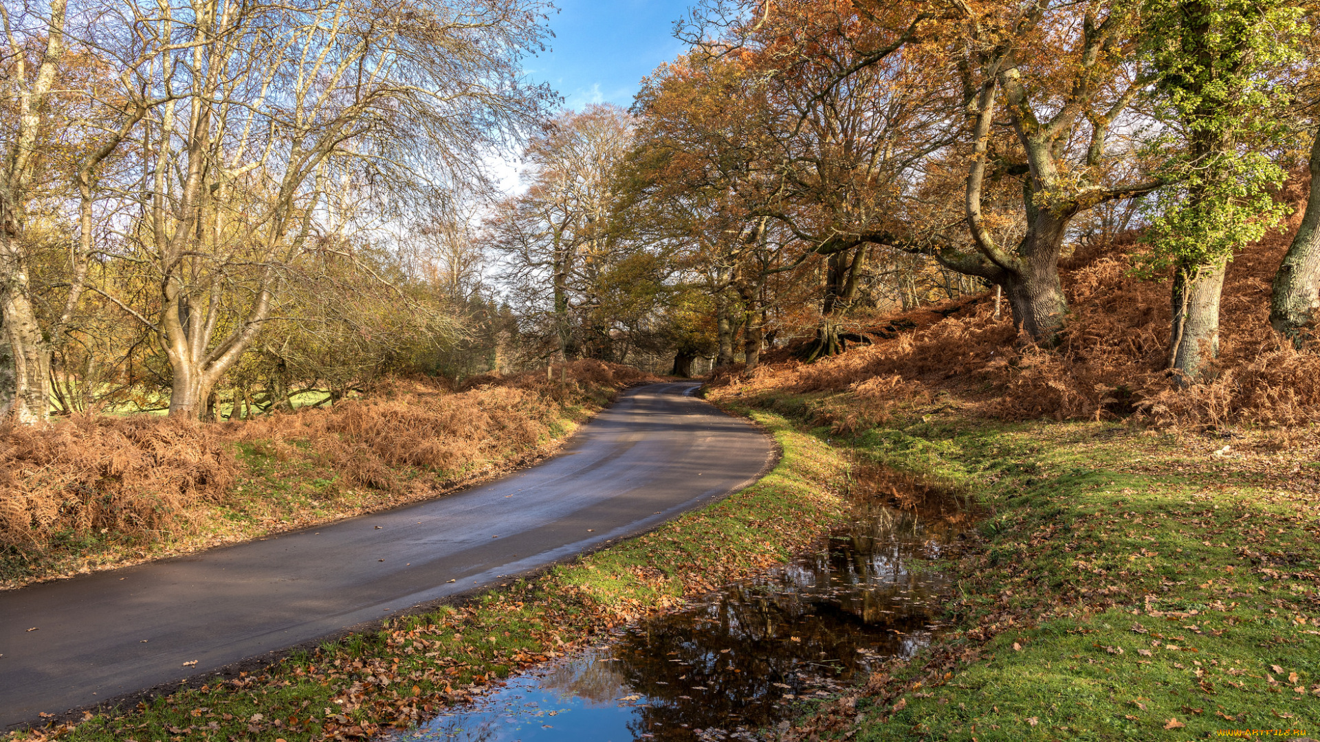 природа, дороги, простор