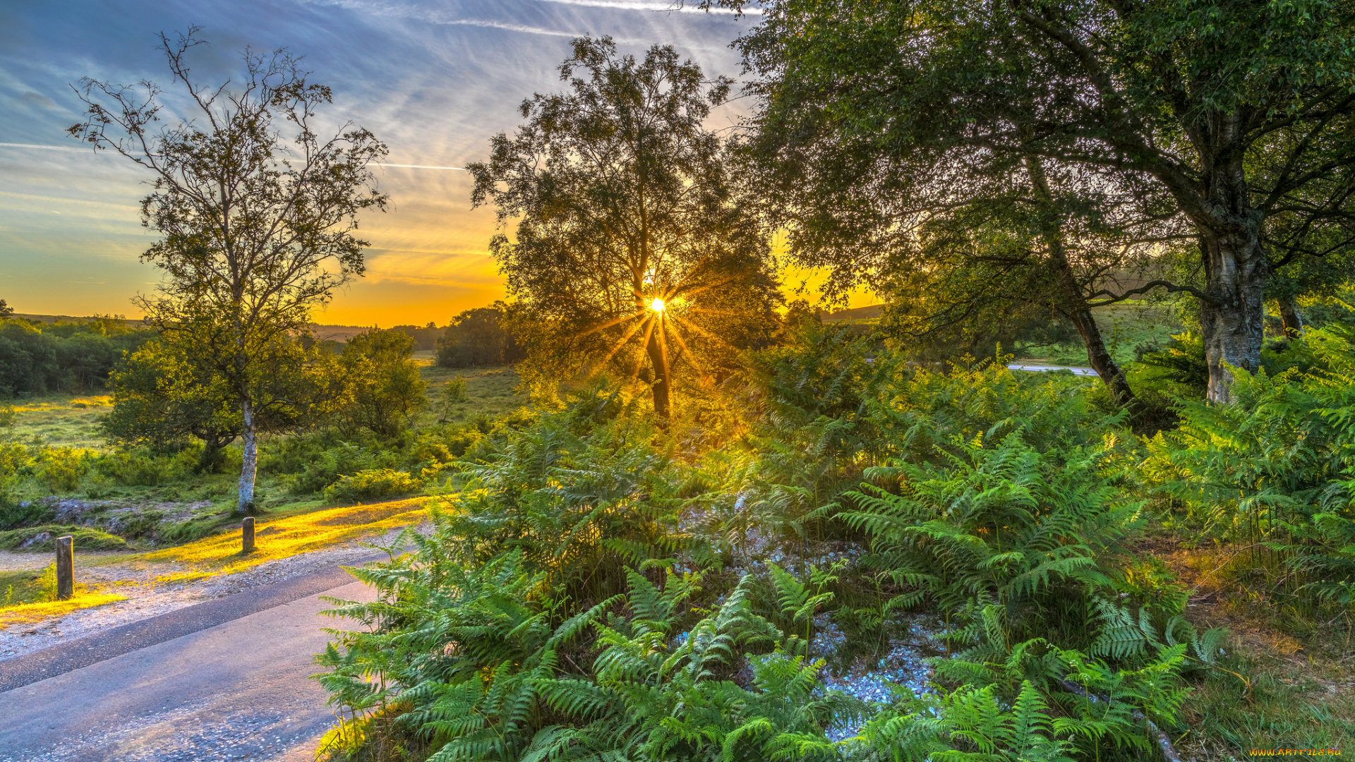 природа, дороги, простор