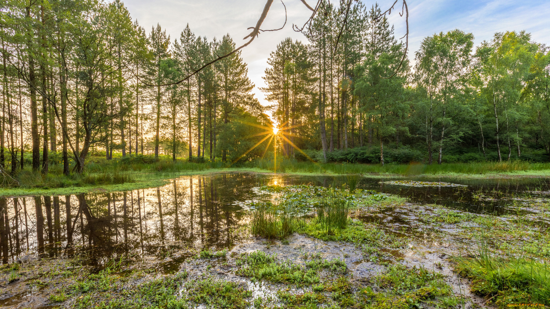 природа, реки, озера, простор