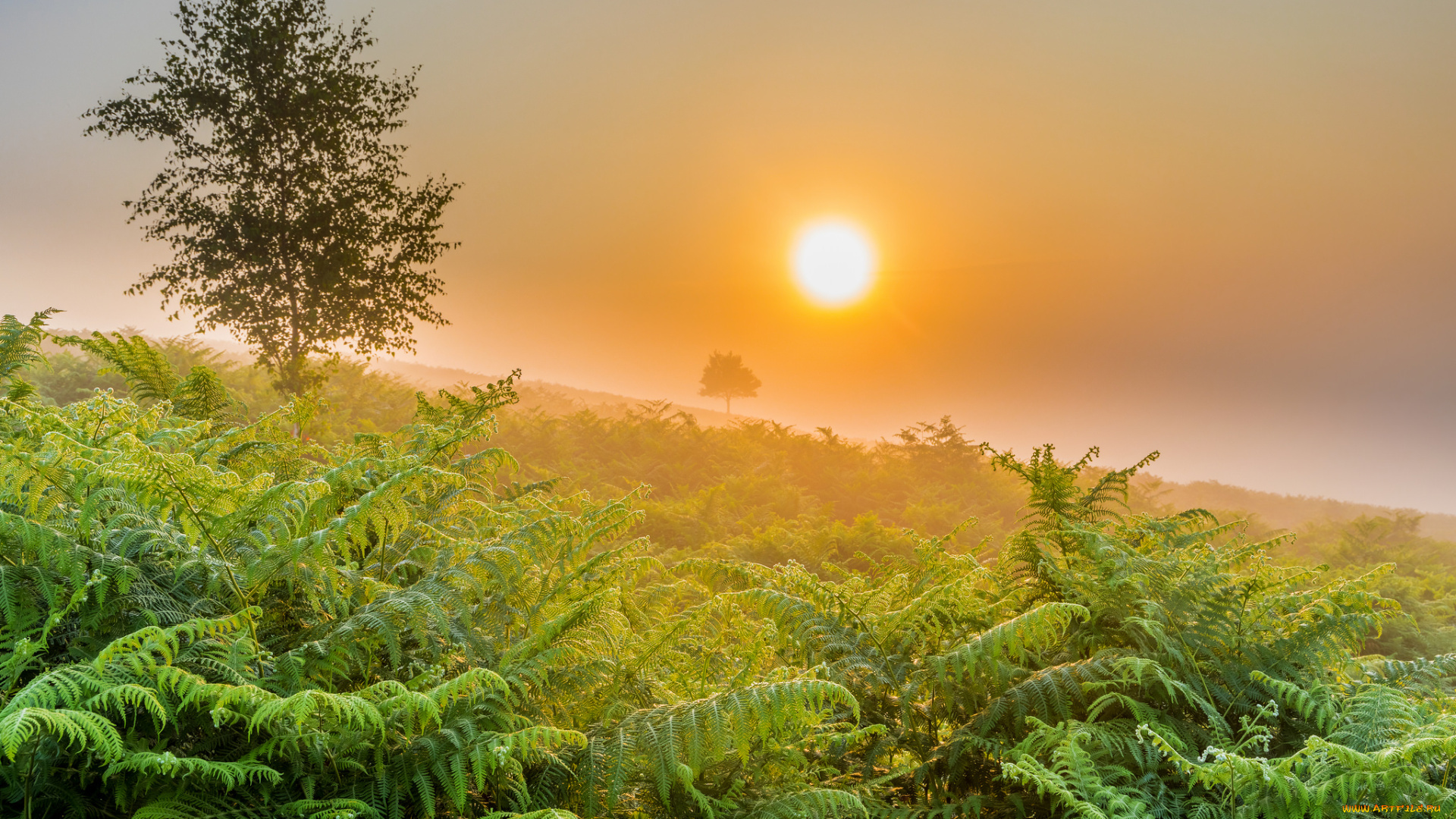 природа, восходы, закаты, простор