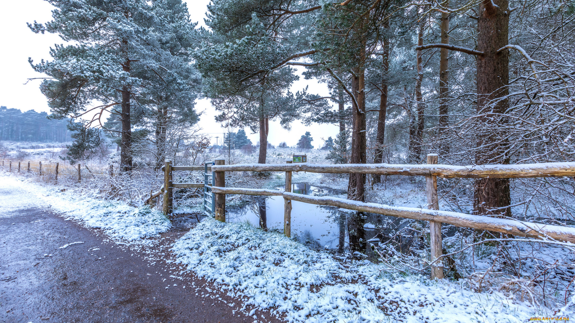 природа, зима, простор