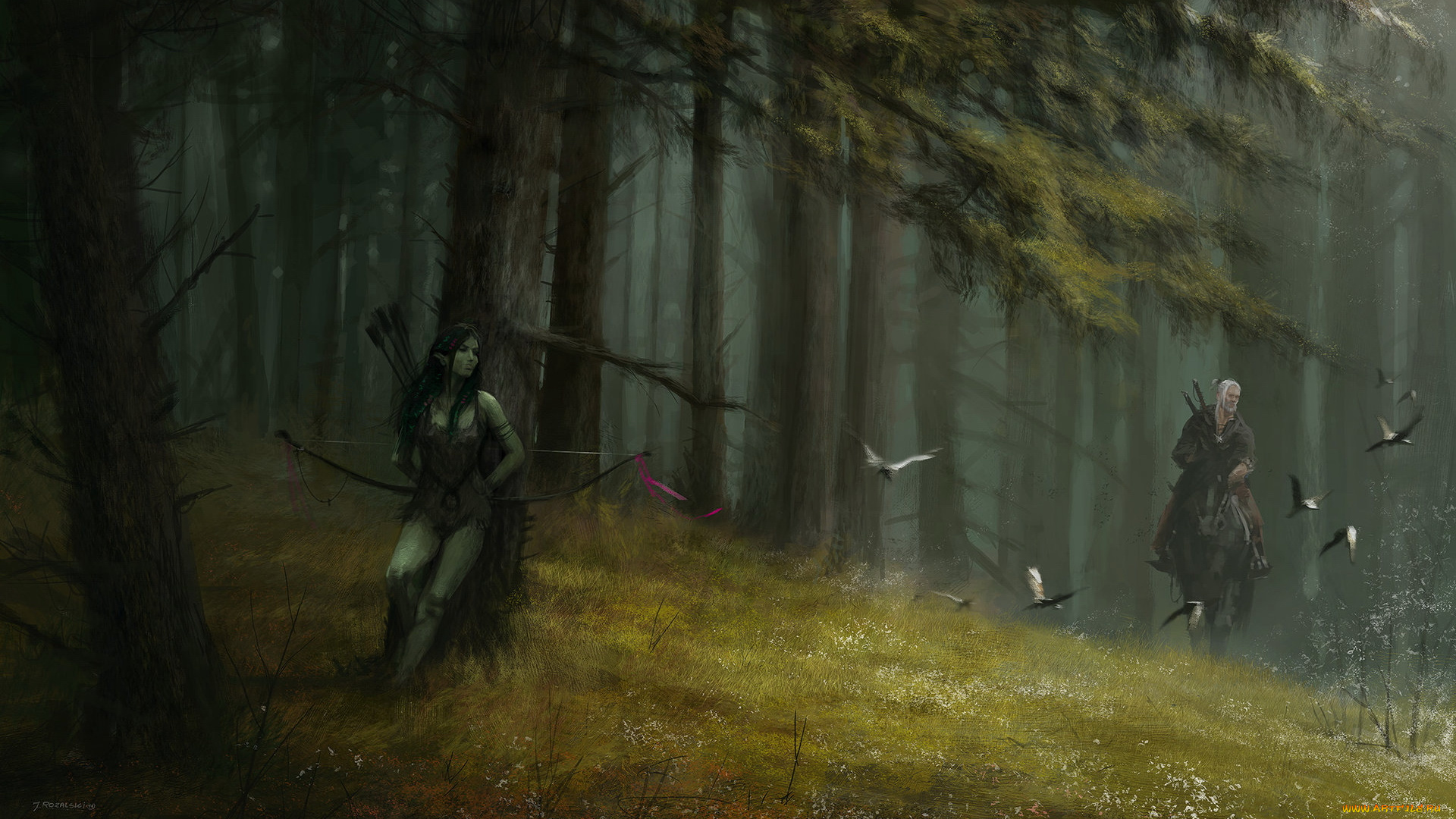 видео, игры, the, witcher, ведьмак, всадник, лес, лук, эльфийка