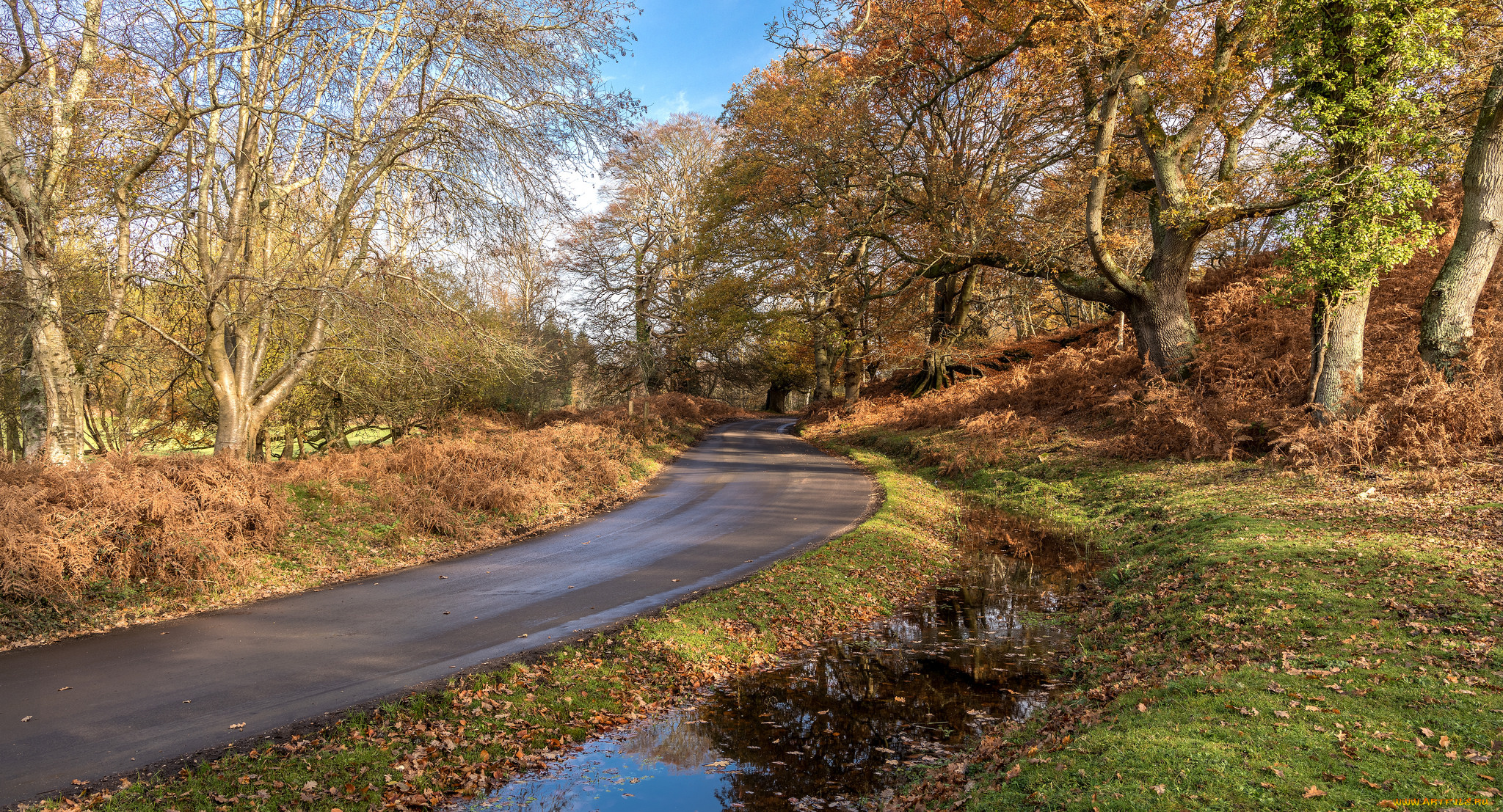 природа, дороги, простор