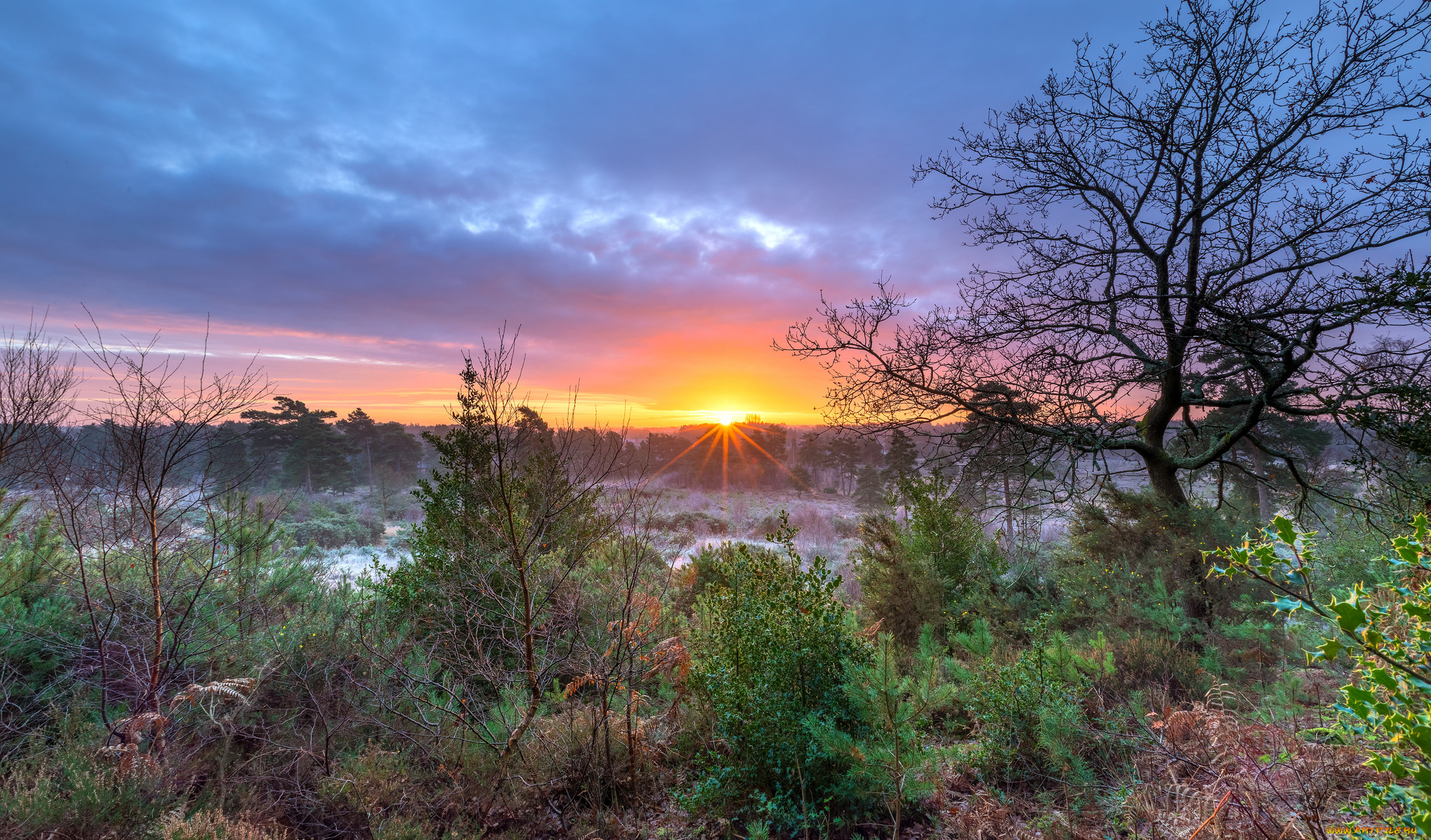 природа, восходы, закаты, простор