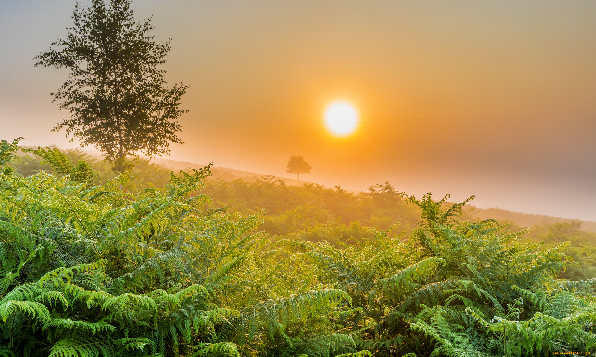 природа, восходы, закаты, простор