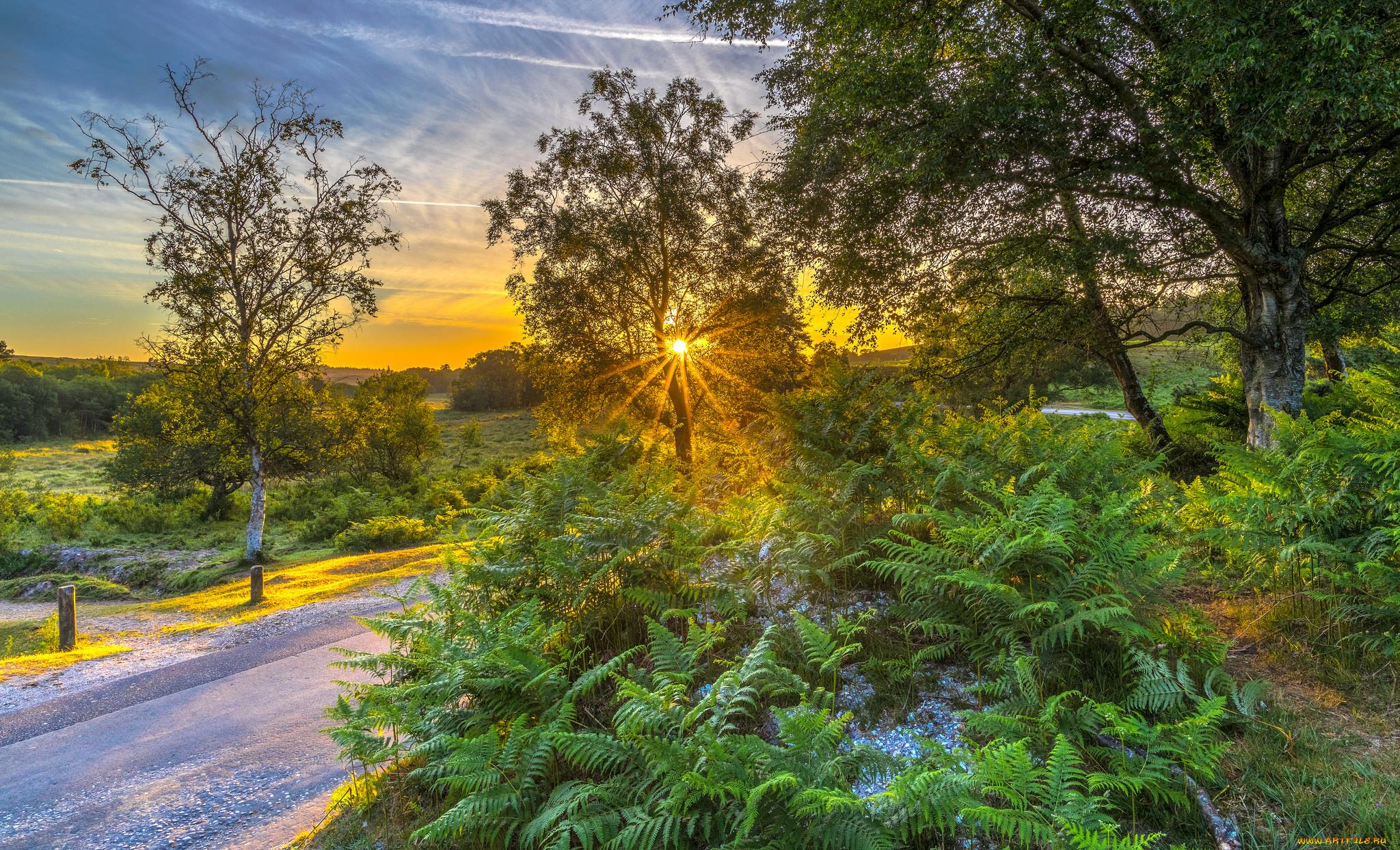 природа, дороги, простор