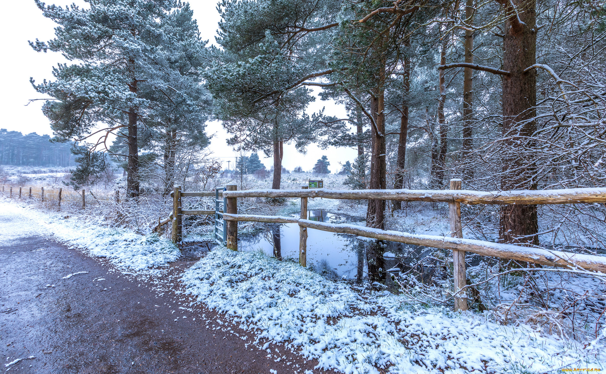 природа, зима, простор