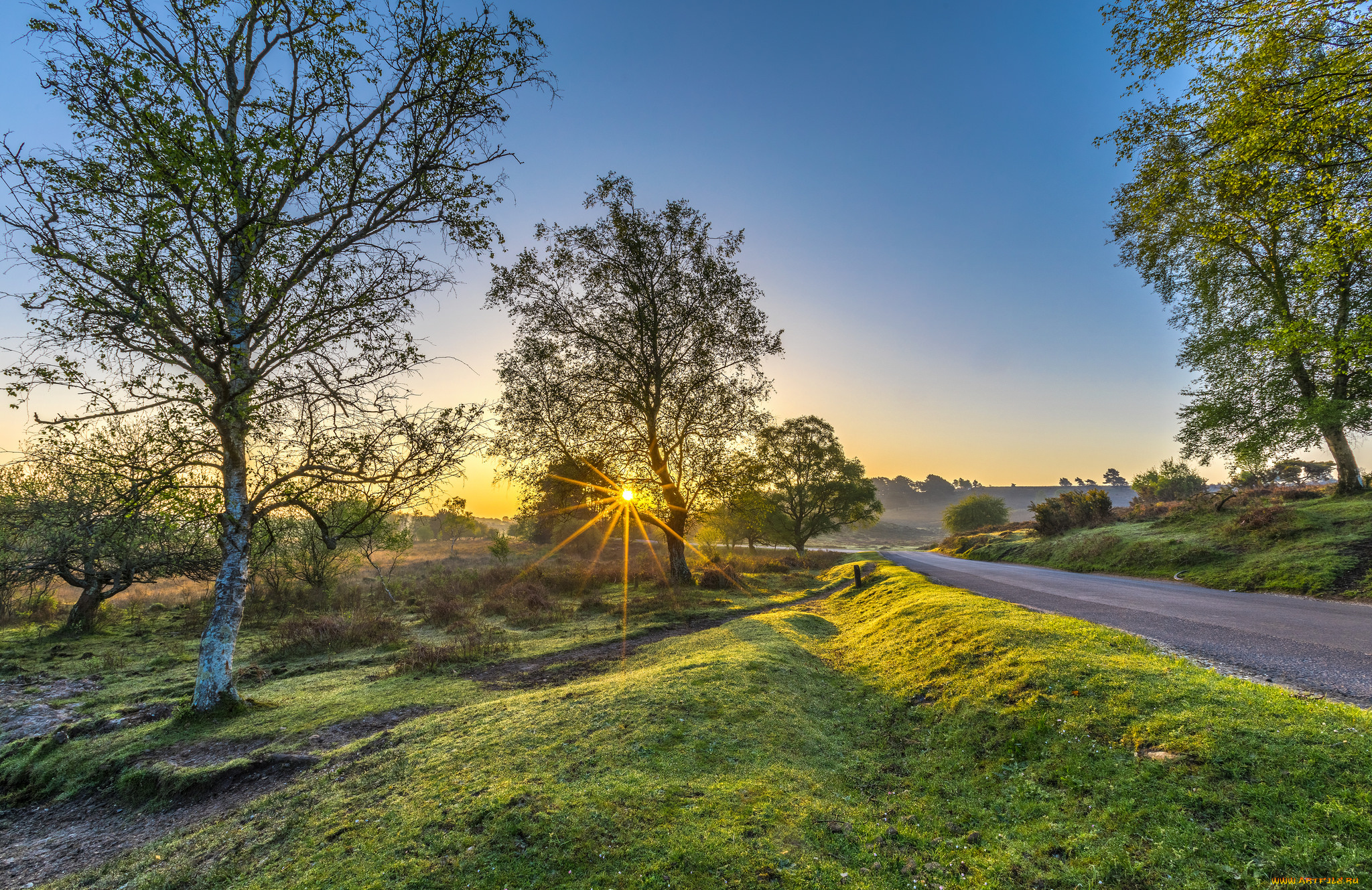 природа, дороги, простор