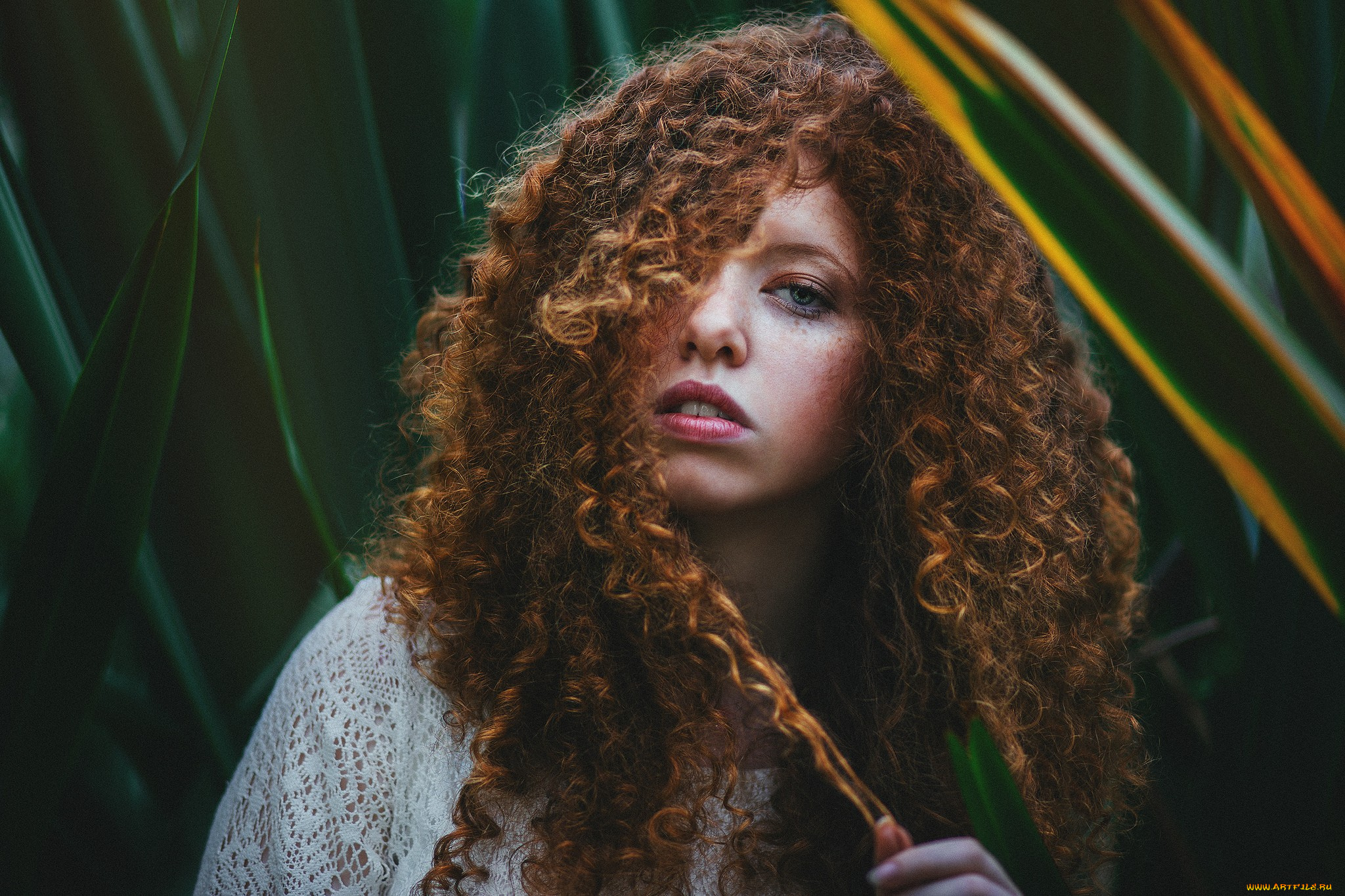 девушки, -unsort, , лица, , портреты, модель