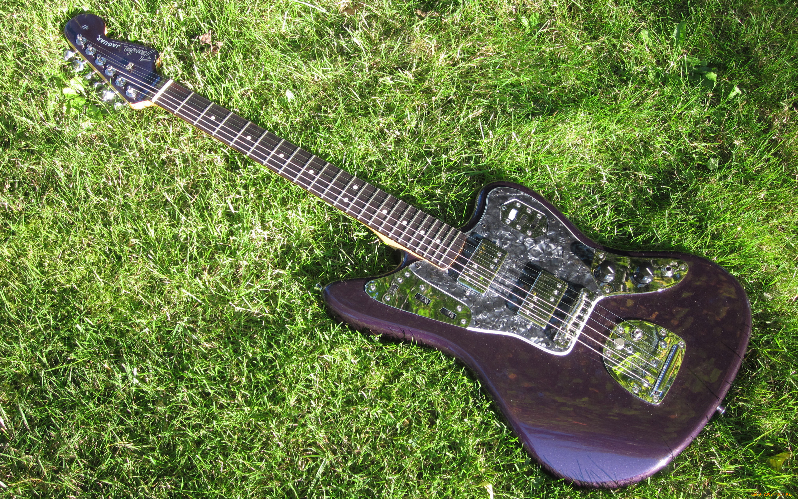 музыка, -музыкальные, инструменты, трава, гитара