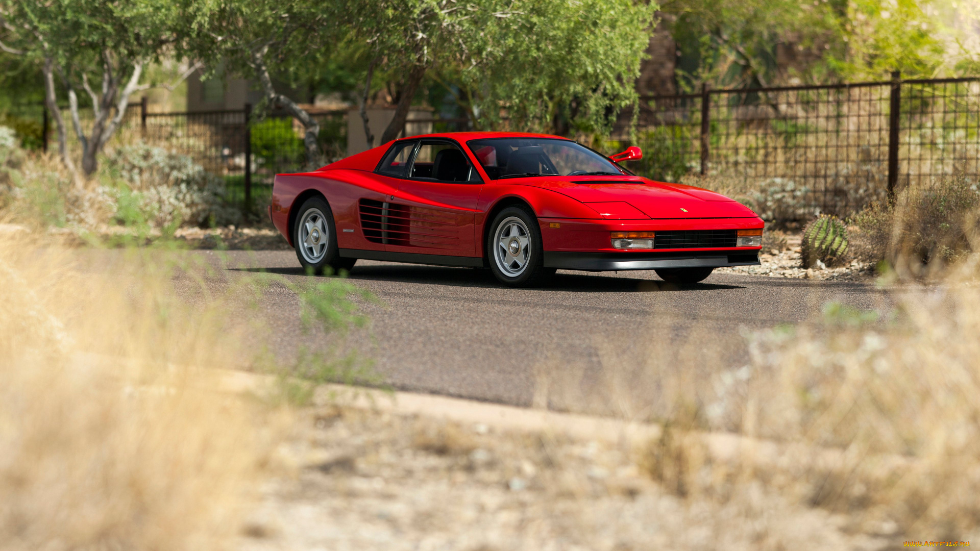автомобили, ferrari, 1986, testarossa