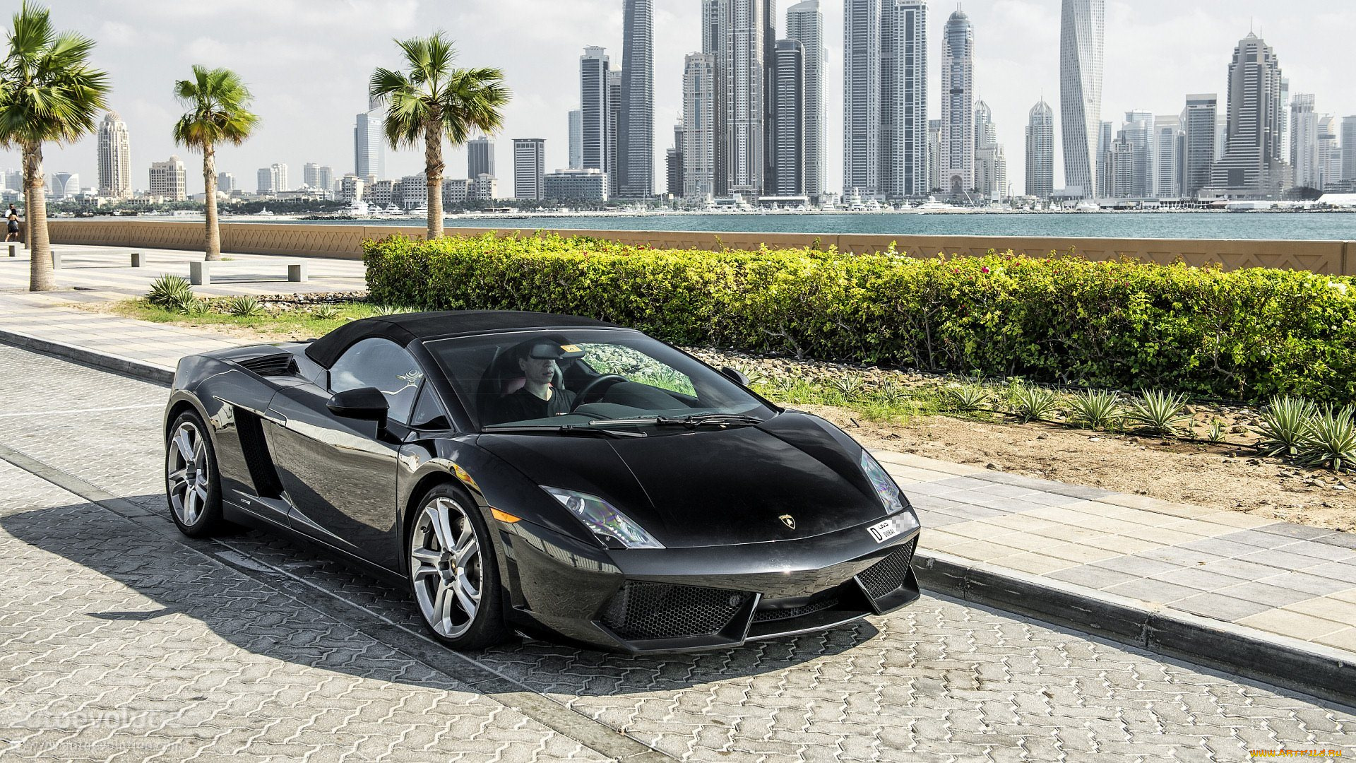 автомобили, lamborghini, gallardo