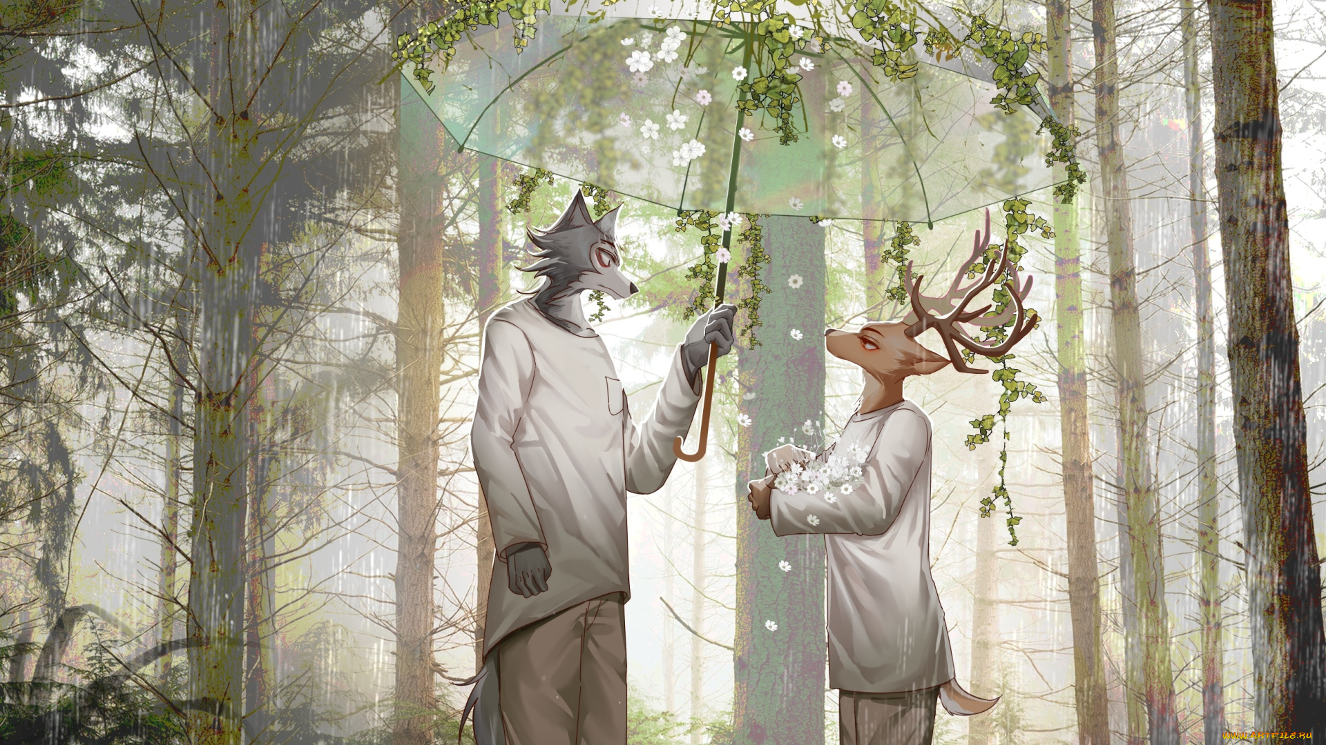 аниме, beastars