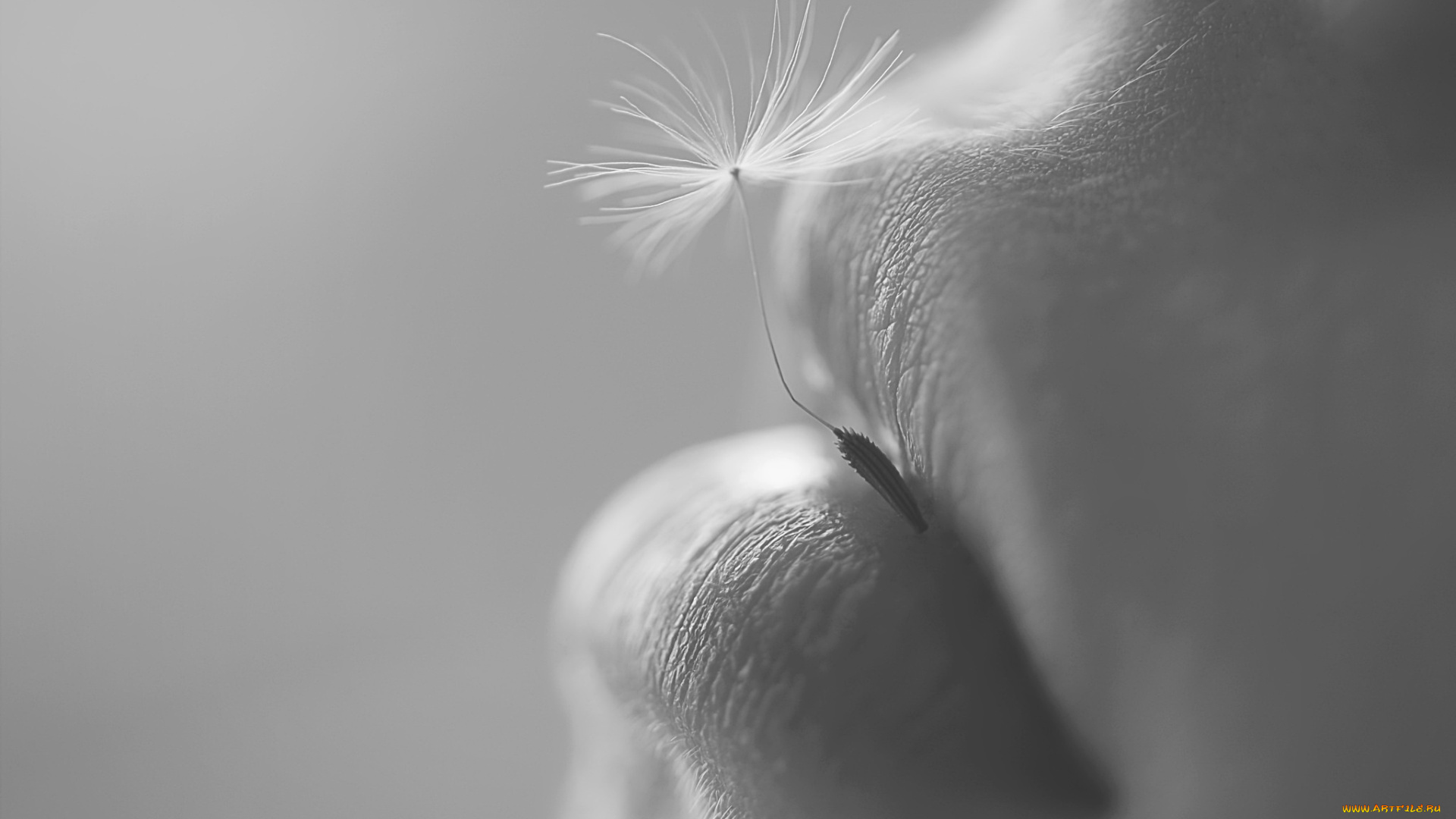 разное, губы, макро, семя