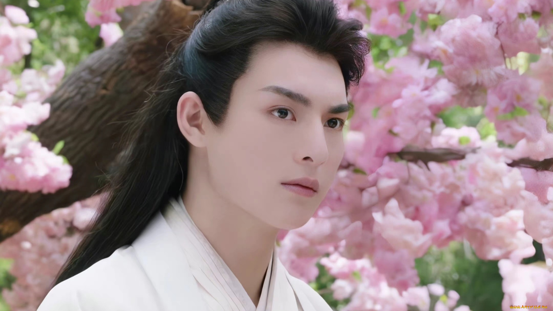 кино, фильмы, stick, to, the, script, следуй, сценарию, ван, хаосюань, wang, hao, xuan