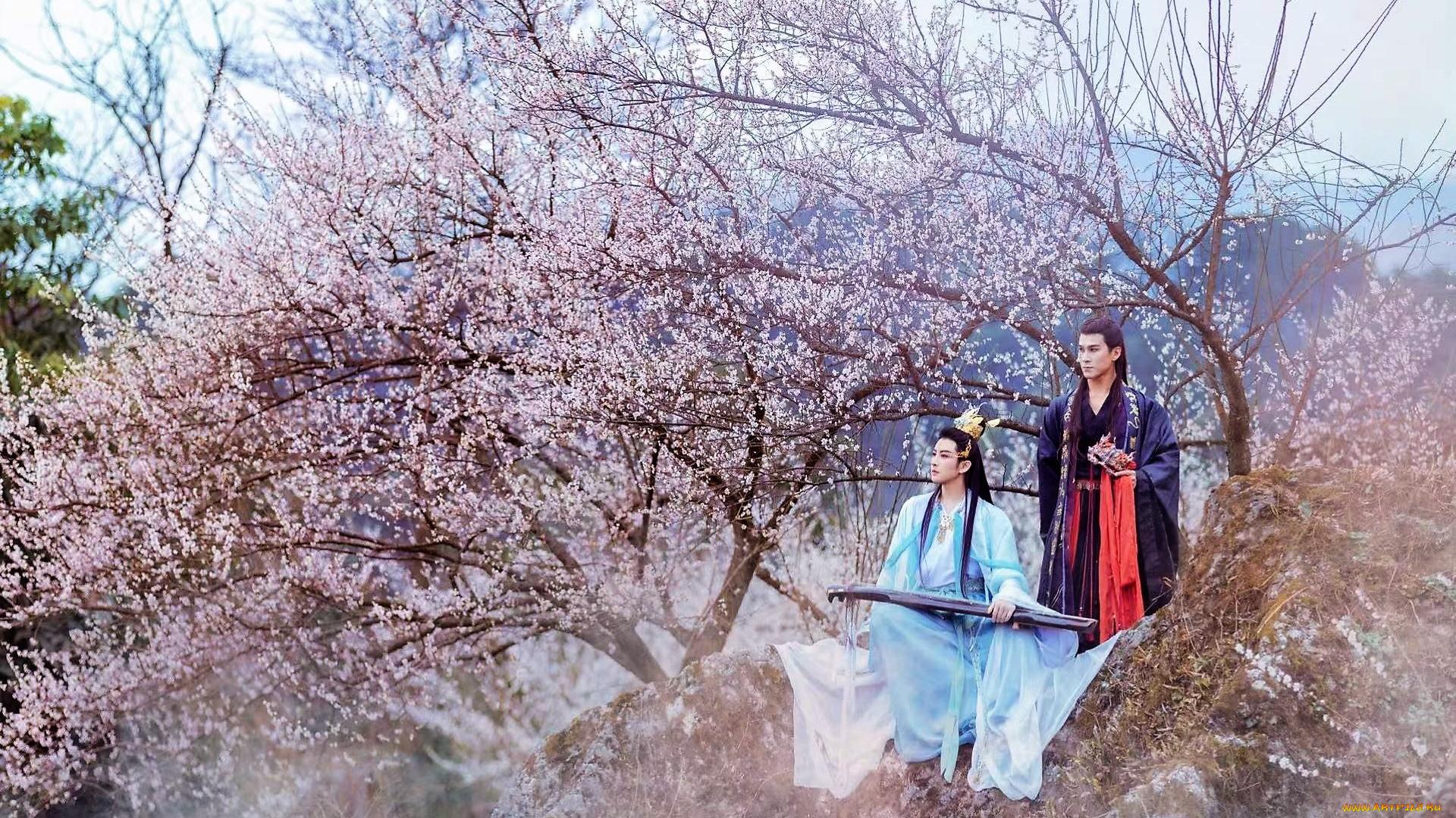 мужчины, -, креатив, , косплей, костюмы, дерево, цветение