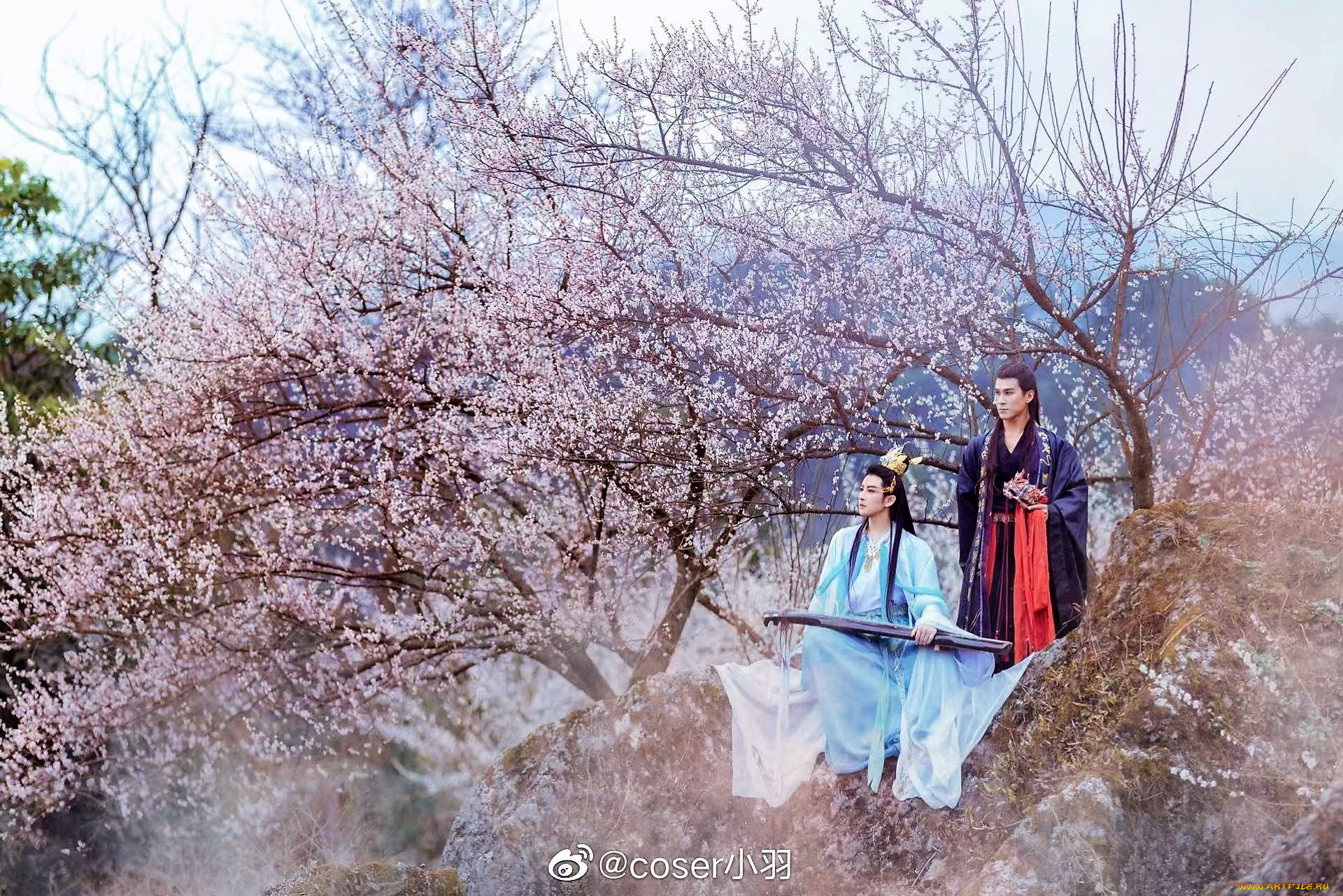 мужчины, -, креатив, , косплей, костюмы, дерево, цветение