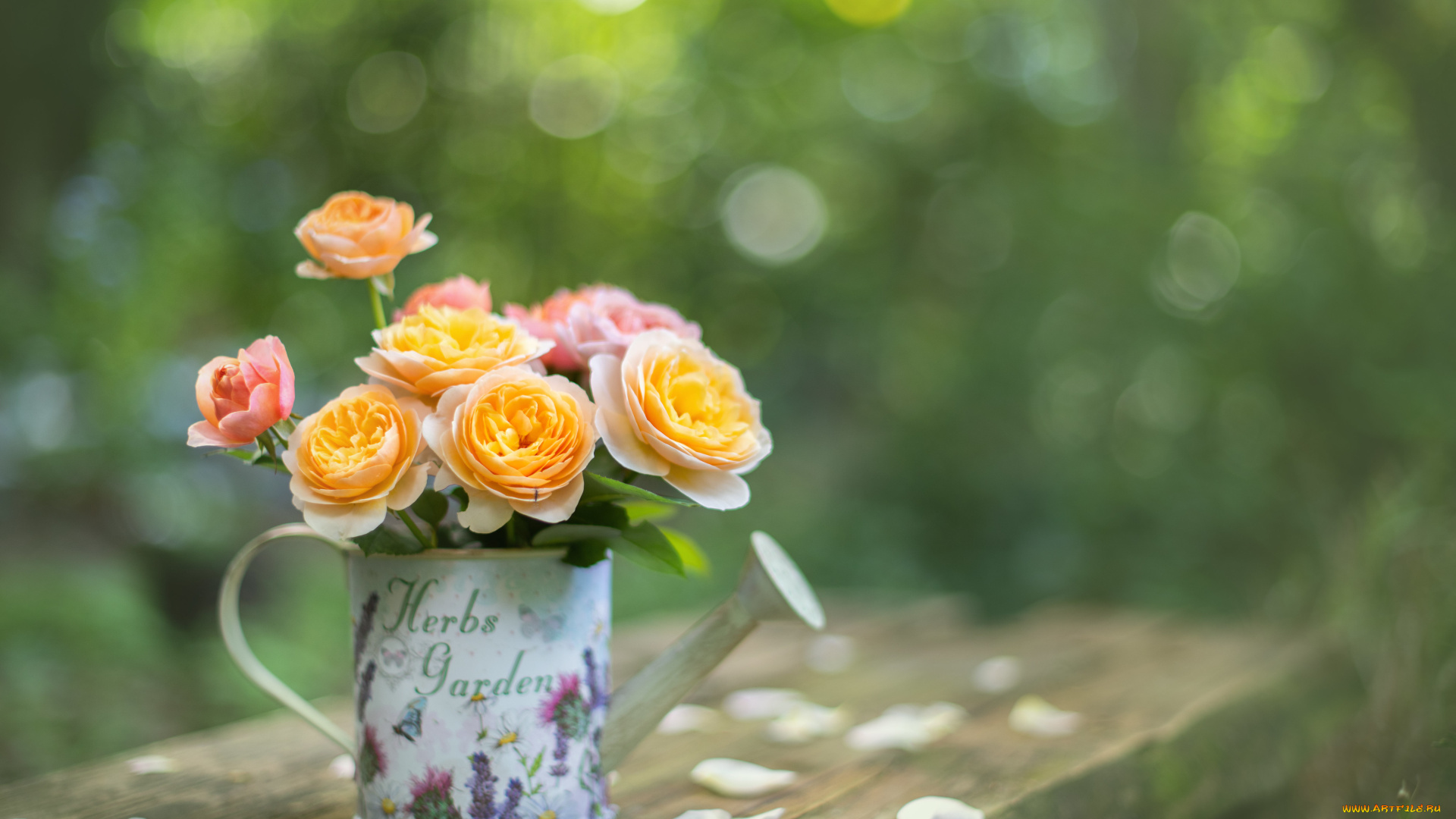 цветы, розы