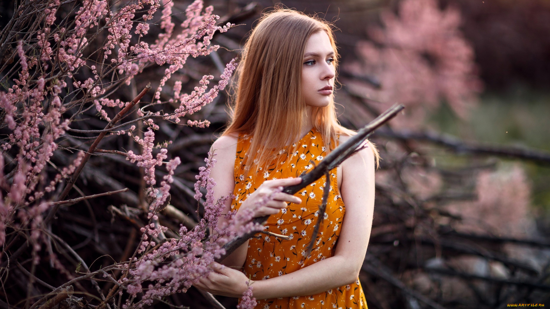 девушки, -, рыжеволосые, и, разноцветные, рыжая, платье, ветки, кусты, цветение
