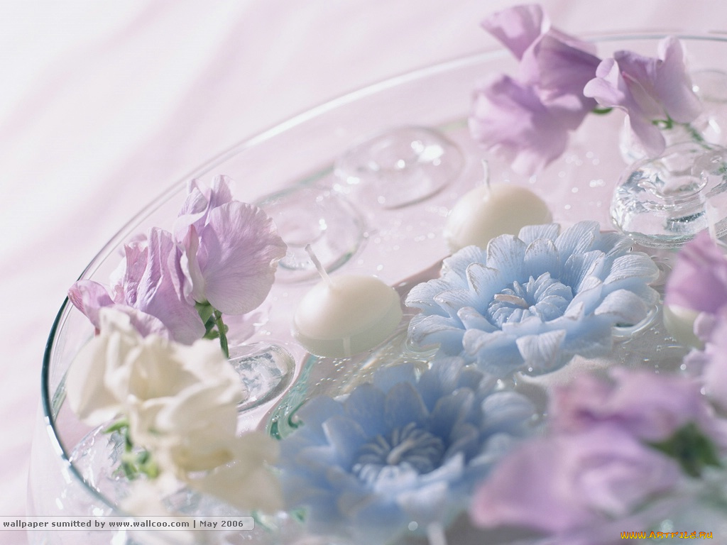 цветы, разные, вместе