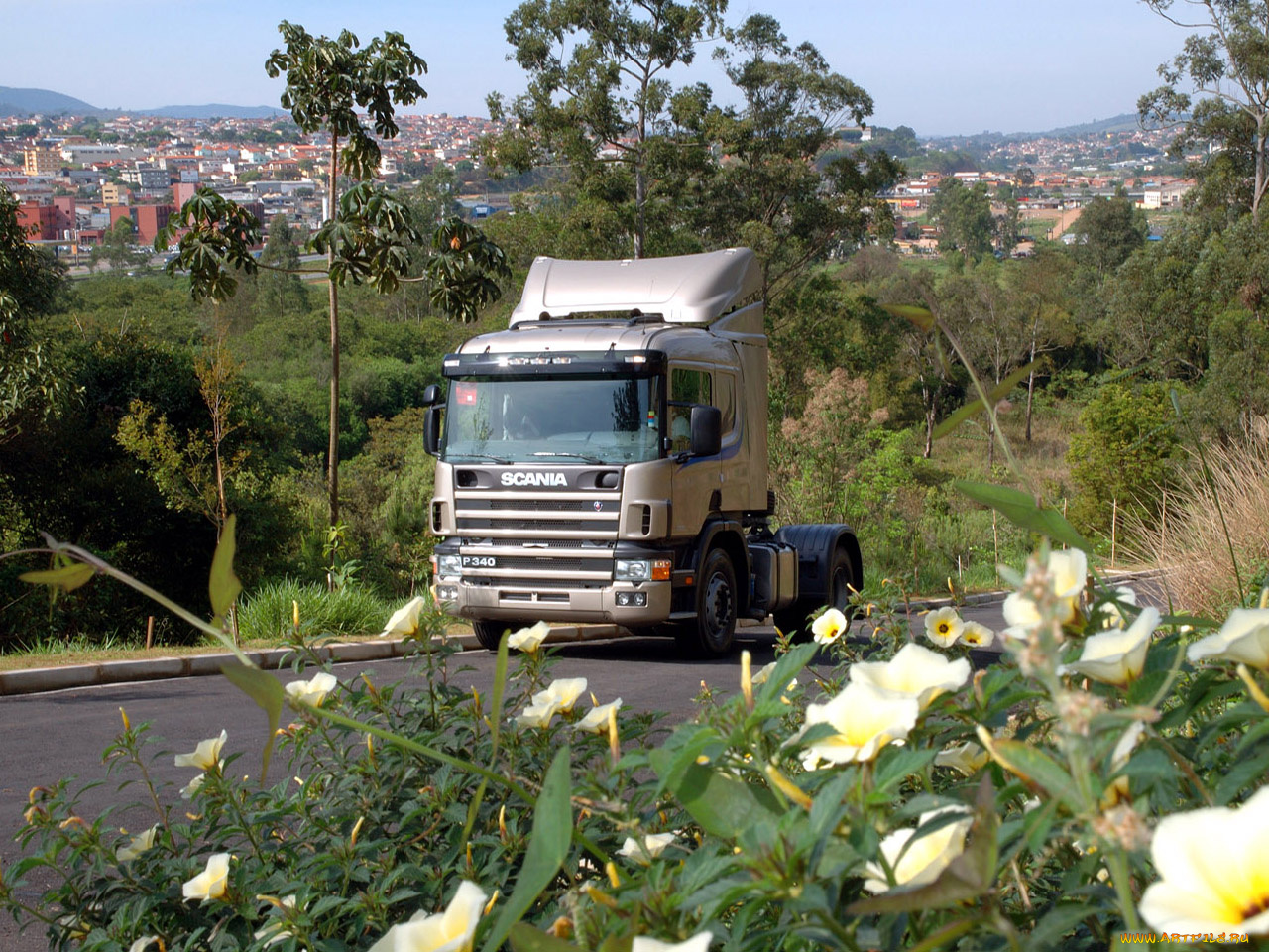 автомобили, scania