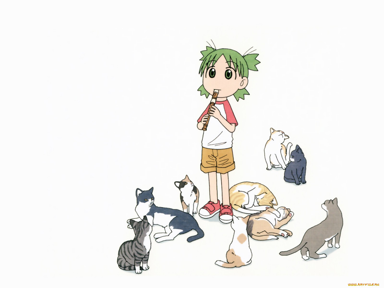аниме, yotsubato
