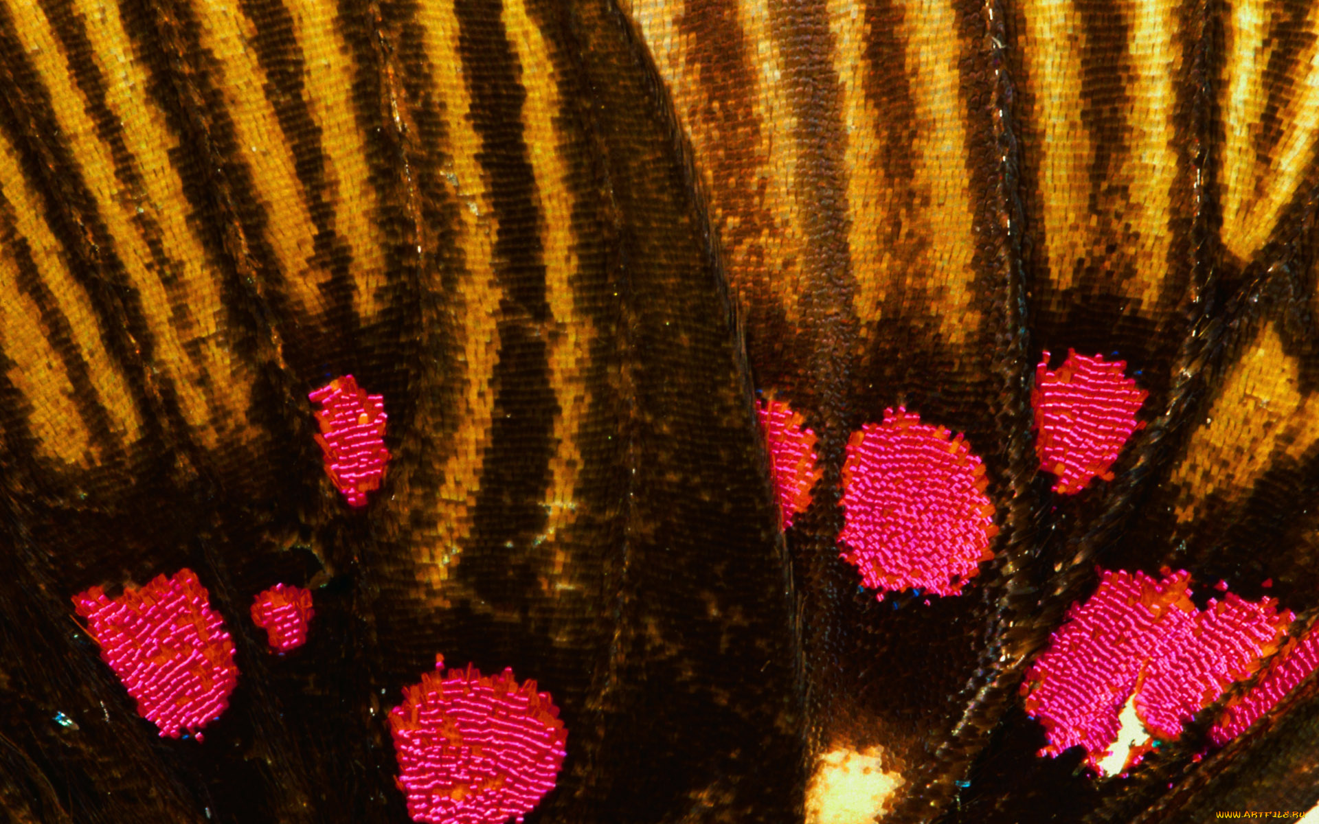 разное, текстуры