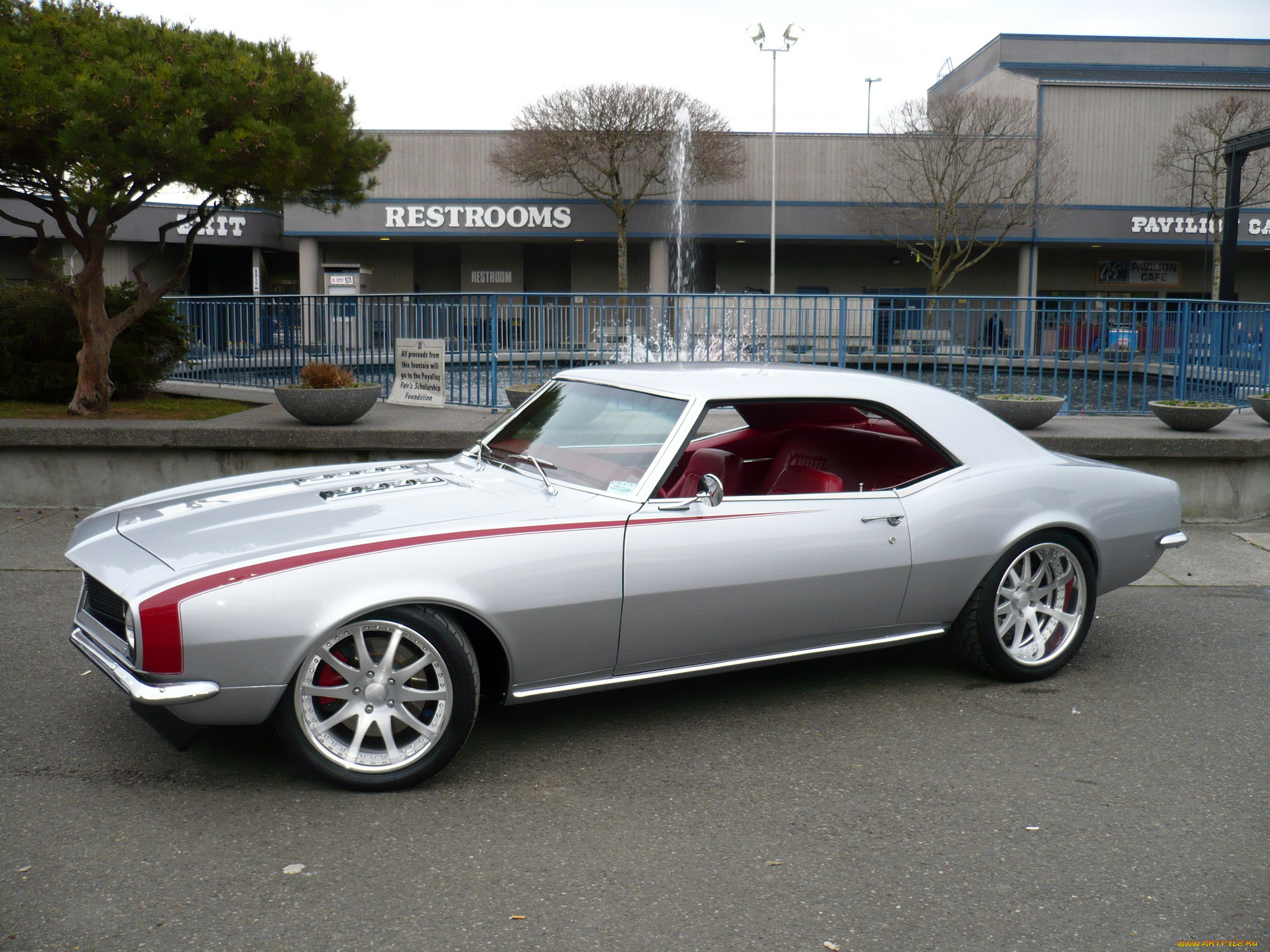 автомобили, camaro