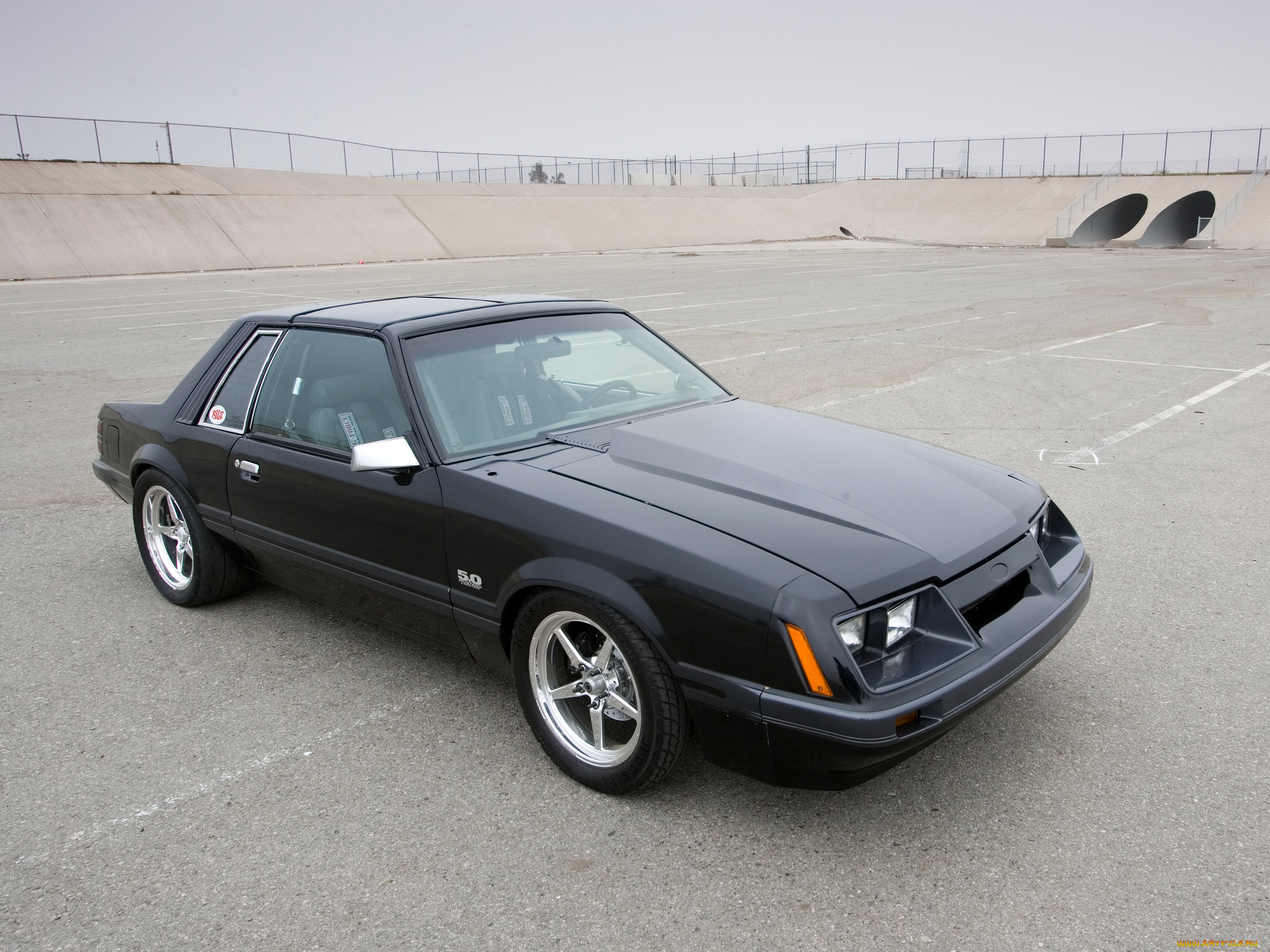 автомобили, mustang