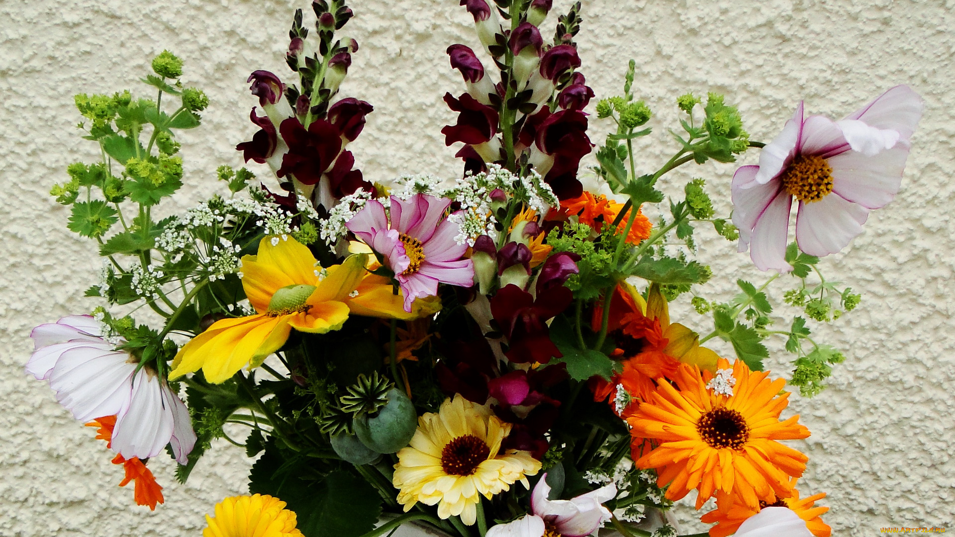 цветы, букеты, композиции, герберы, гладиолус, букет