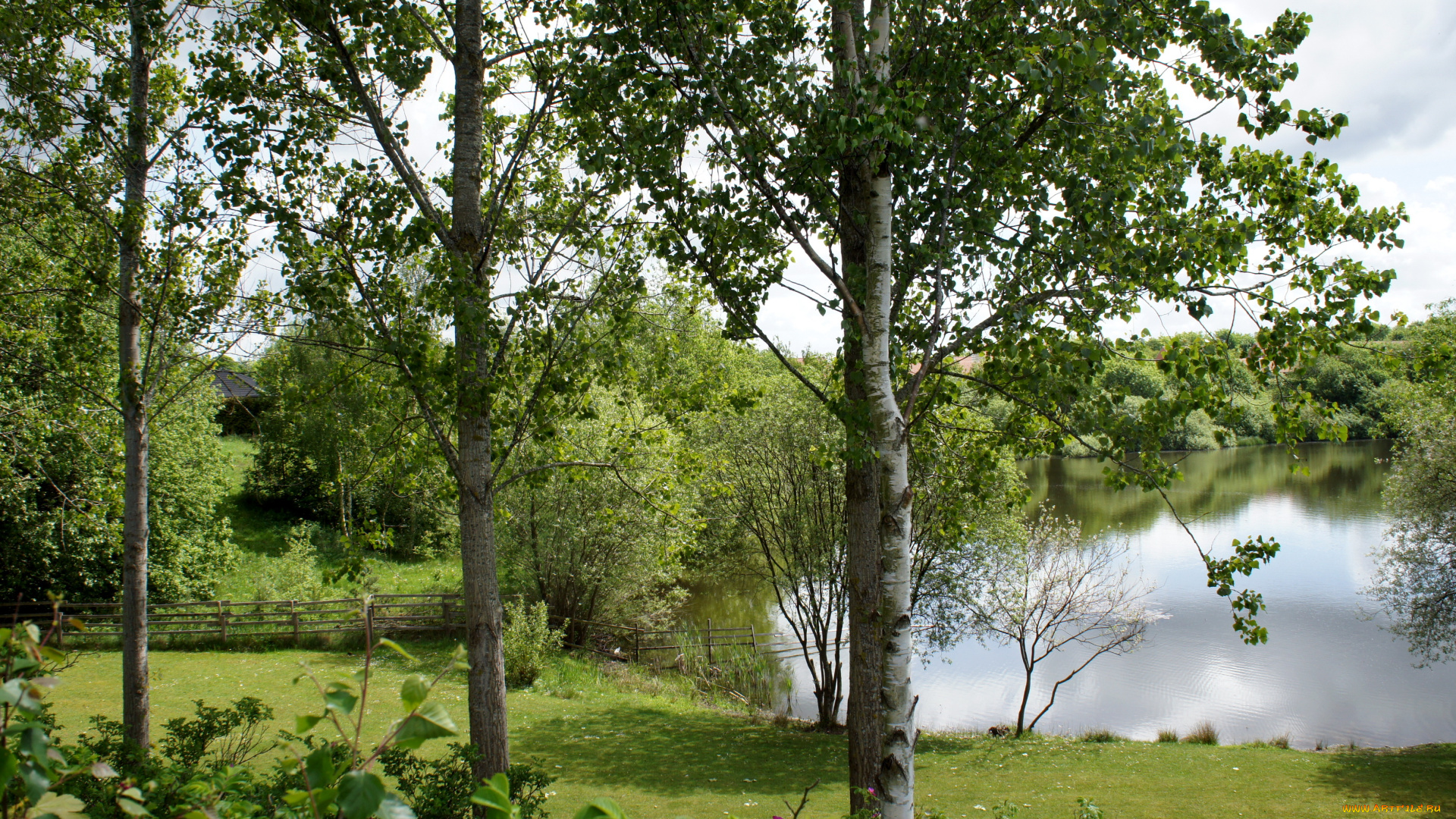 дания, rоdekro, природа, реки, озера, растения, озеро