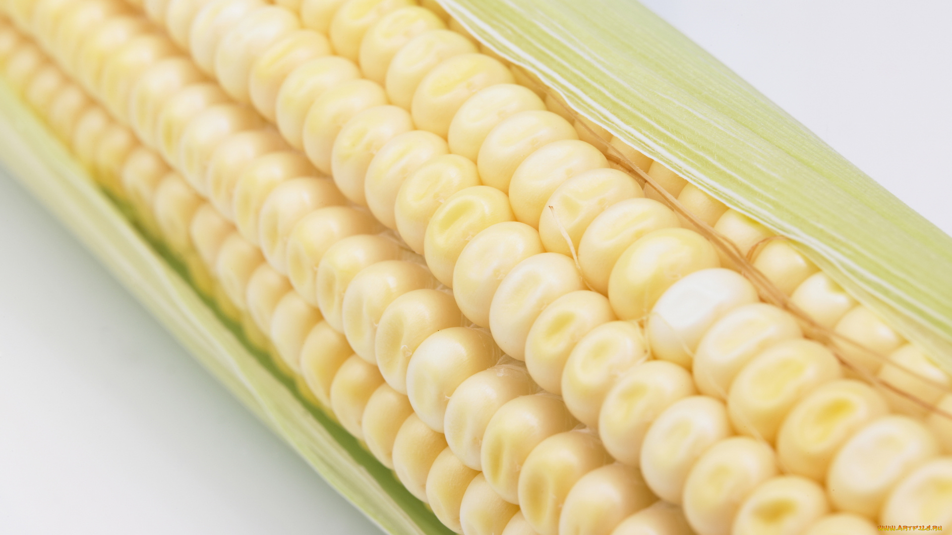 еда, кукуруза