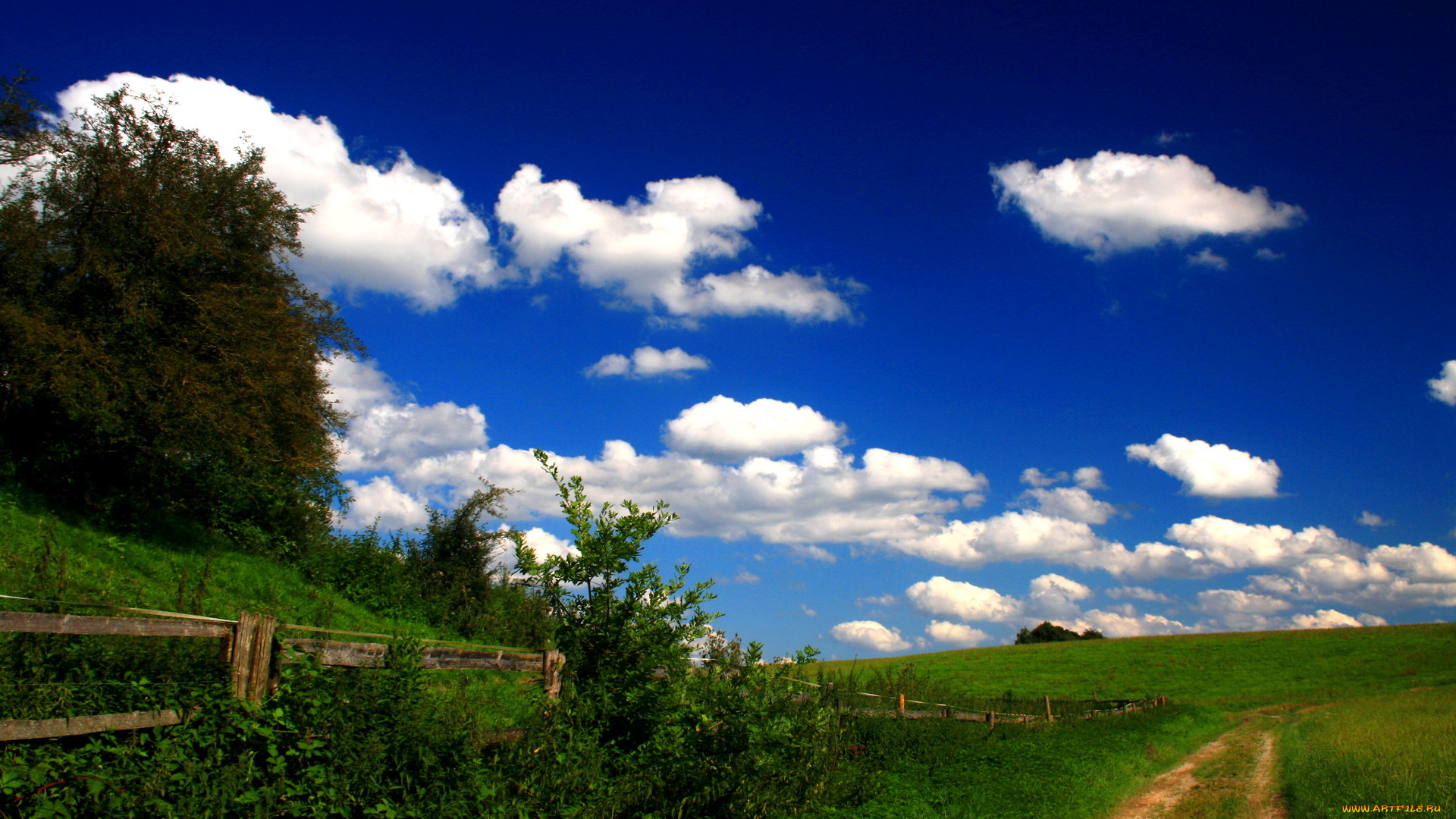 германия, блаубойрен, природа, дороги, луга