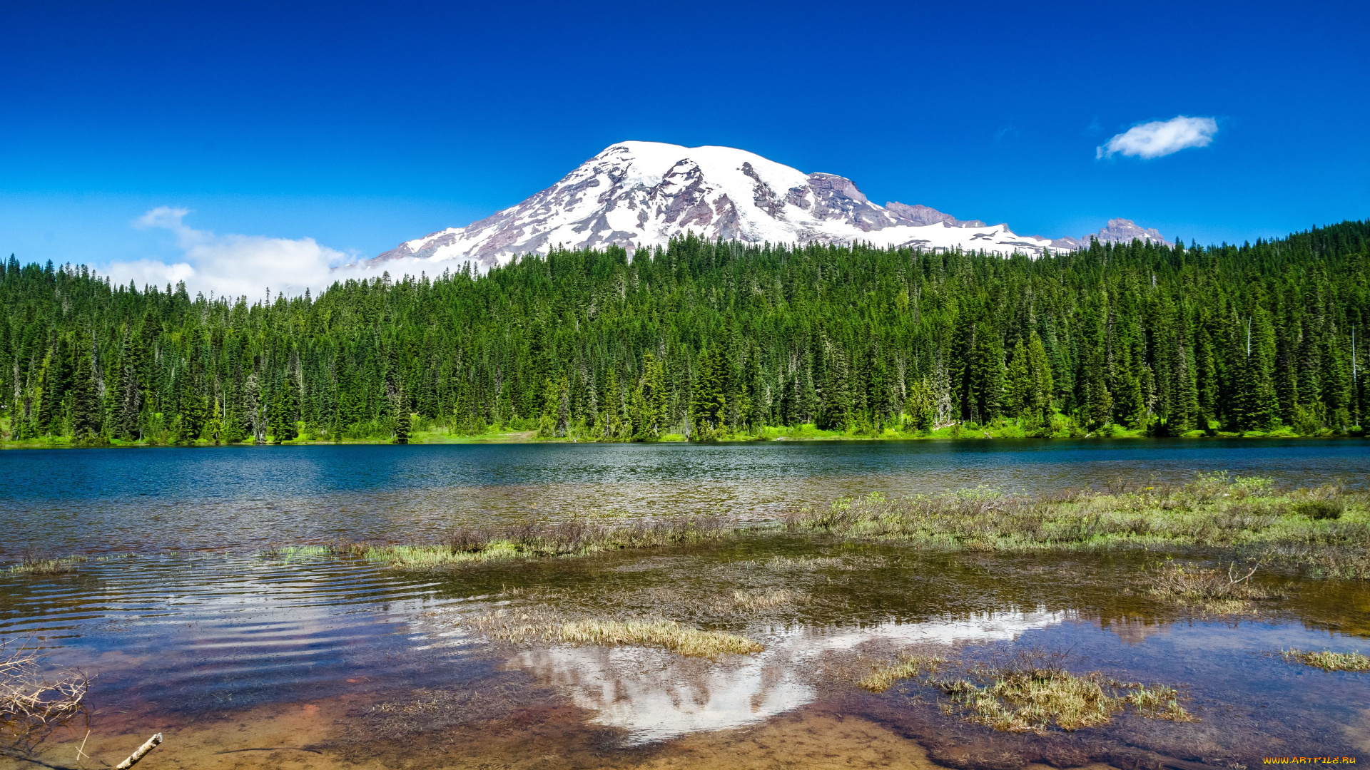 mount, rainier, national, park, природа, реки, озера, озеро, гора, лес