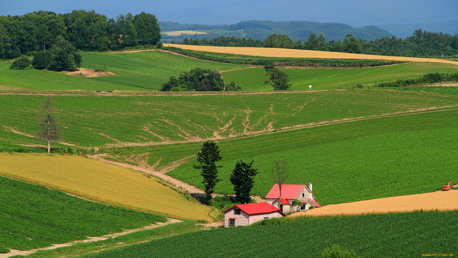 природа, поля