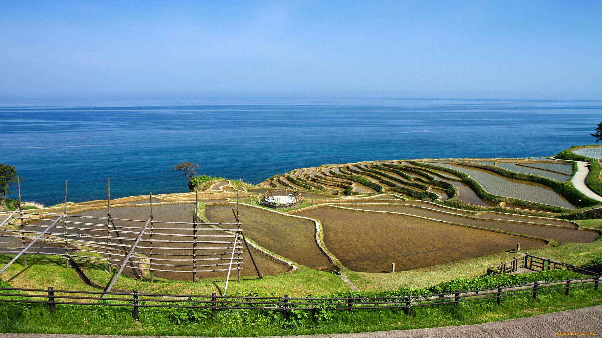 природа, поля, море