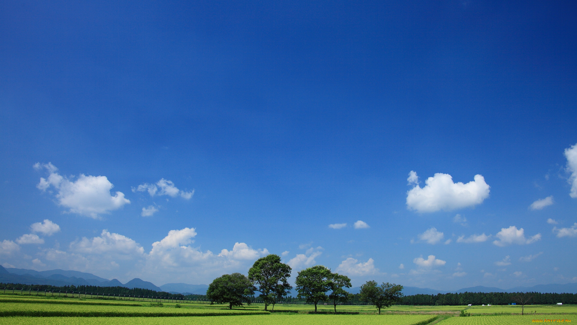 природа, поля, поле, облака