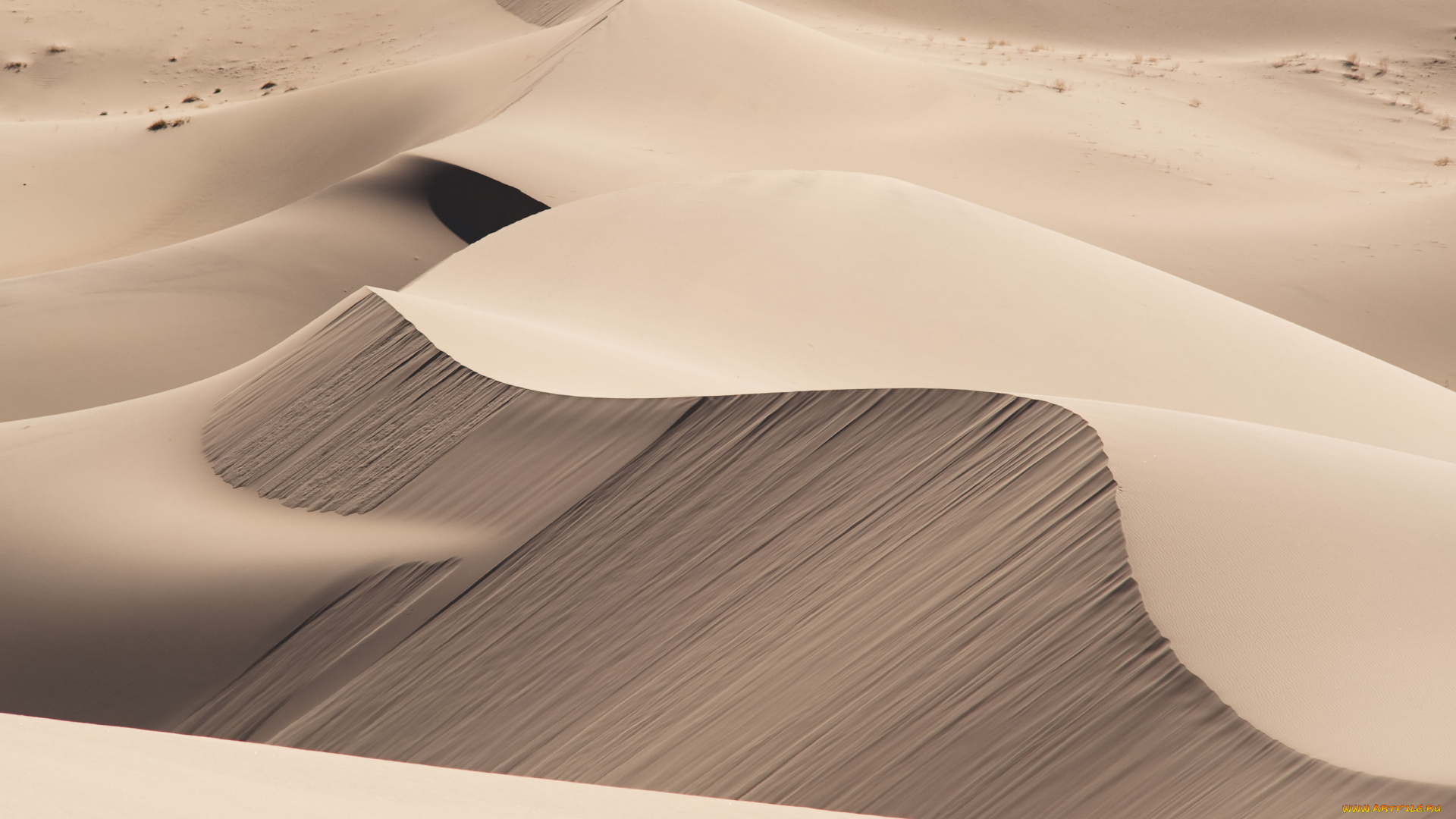 природа, пустыни, песок, дюны, пустыня