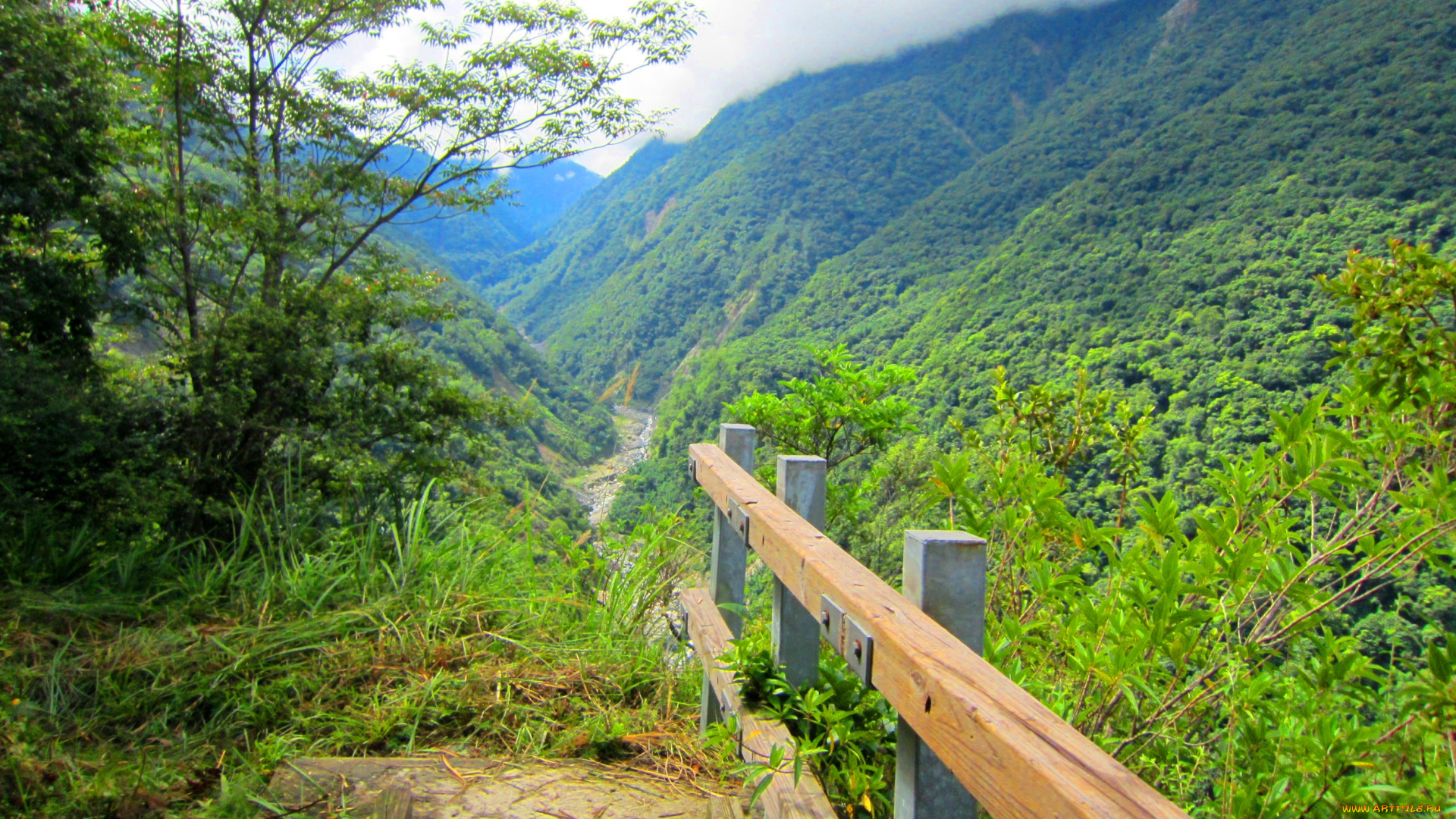 small, wooden, bridge, in, the, mountain, природа, горы, травы, склон, мостик