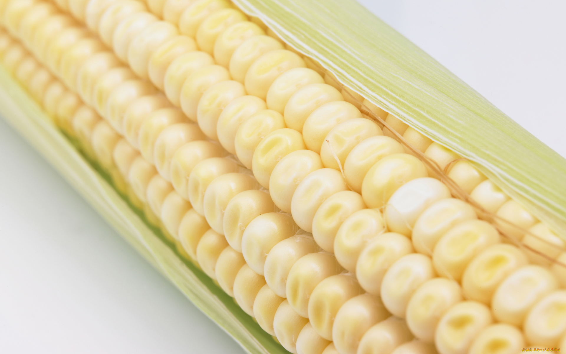 еда, кукуруза