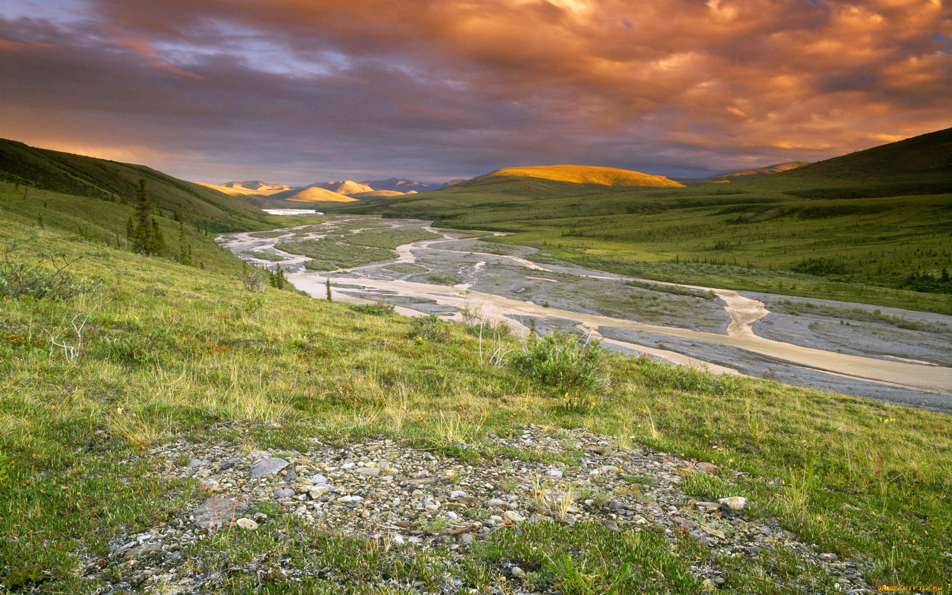 природа, реки, озера, река